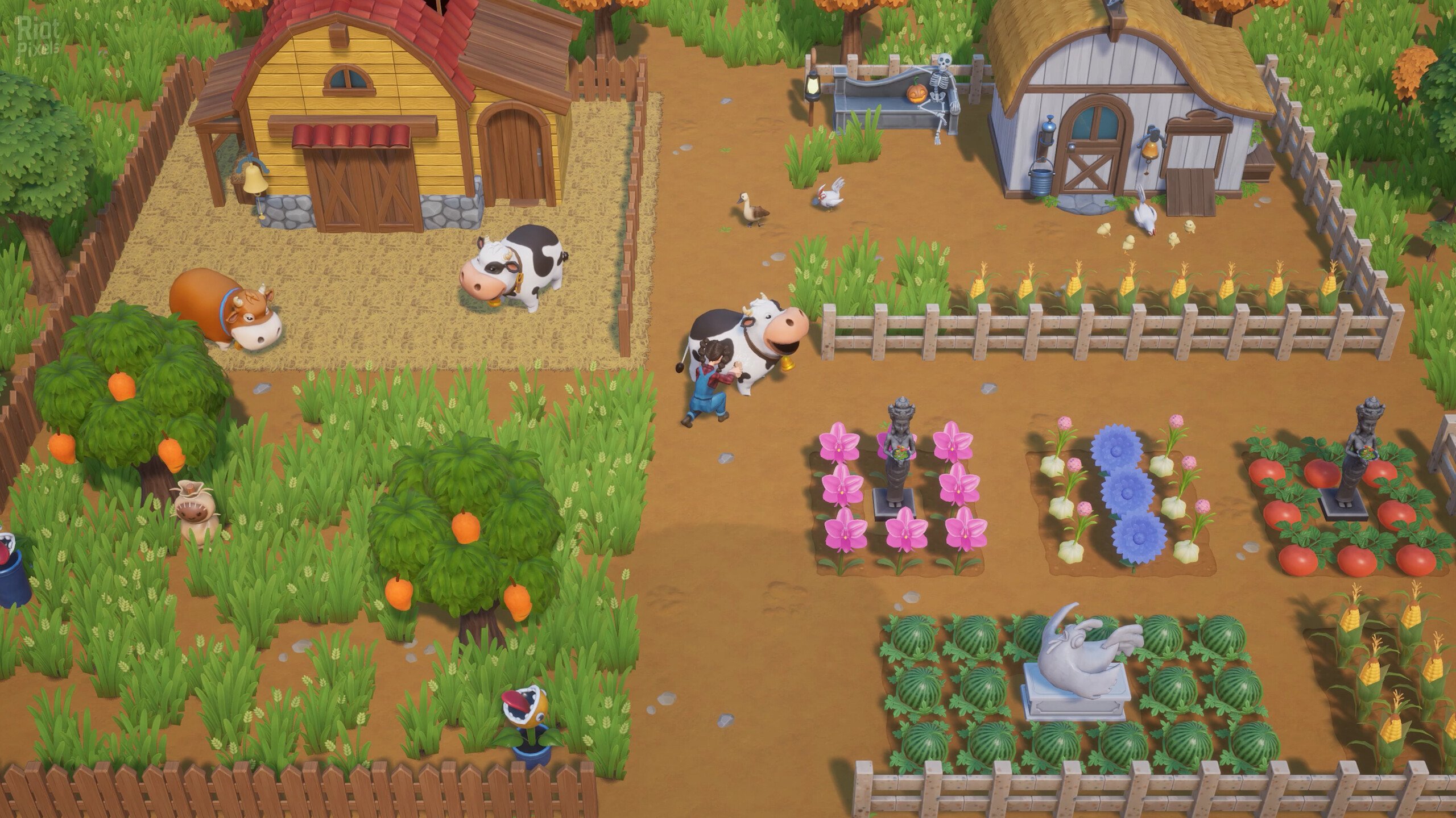 [14]-Coral Island: OST Bundle – v1.1-1226 + 6 DLCs/Bonuses + Windows 7 Fix Download