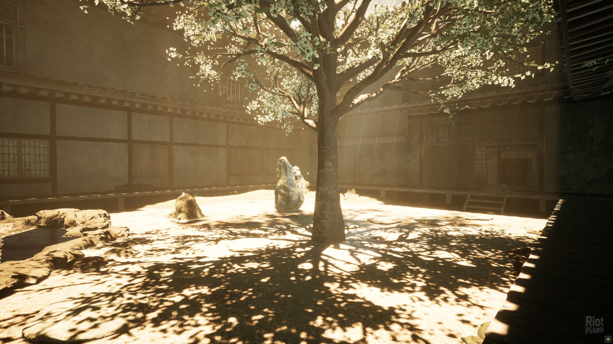 [11]-Chiyo Download
