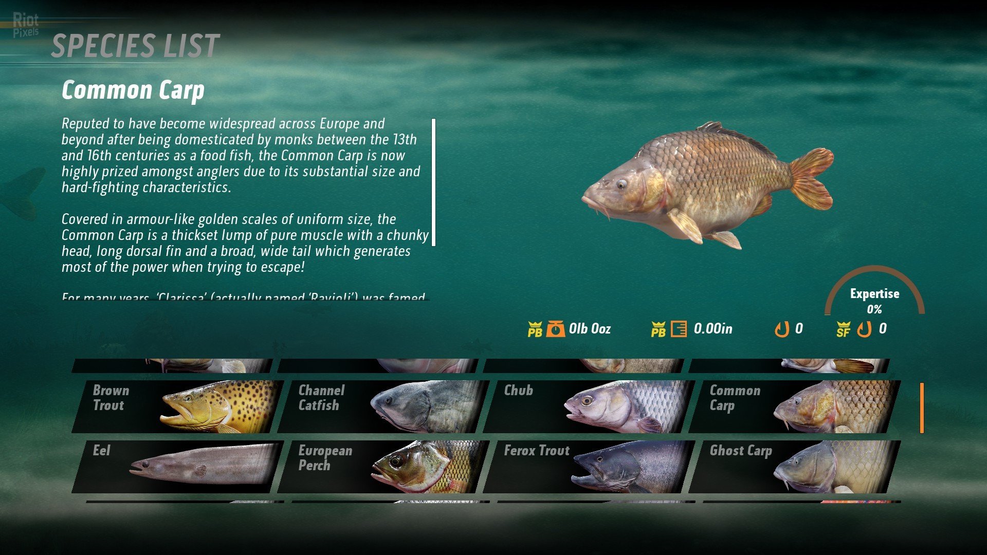 [3]-The Catch: Carp & Coarse – v1.0.49212.56 Download