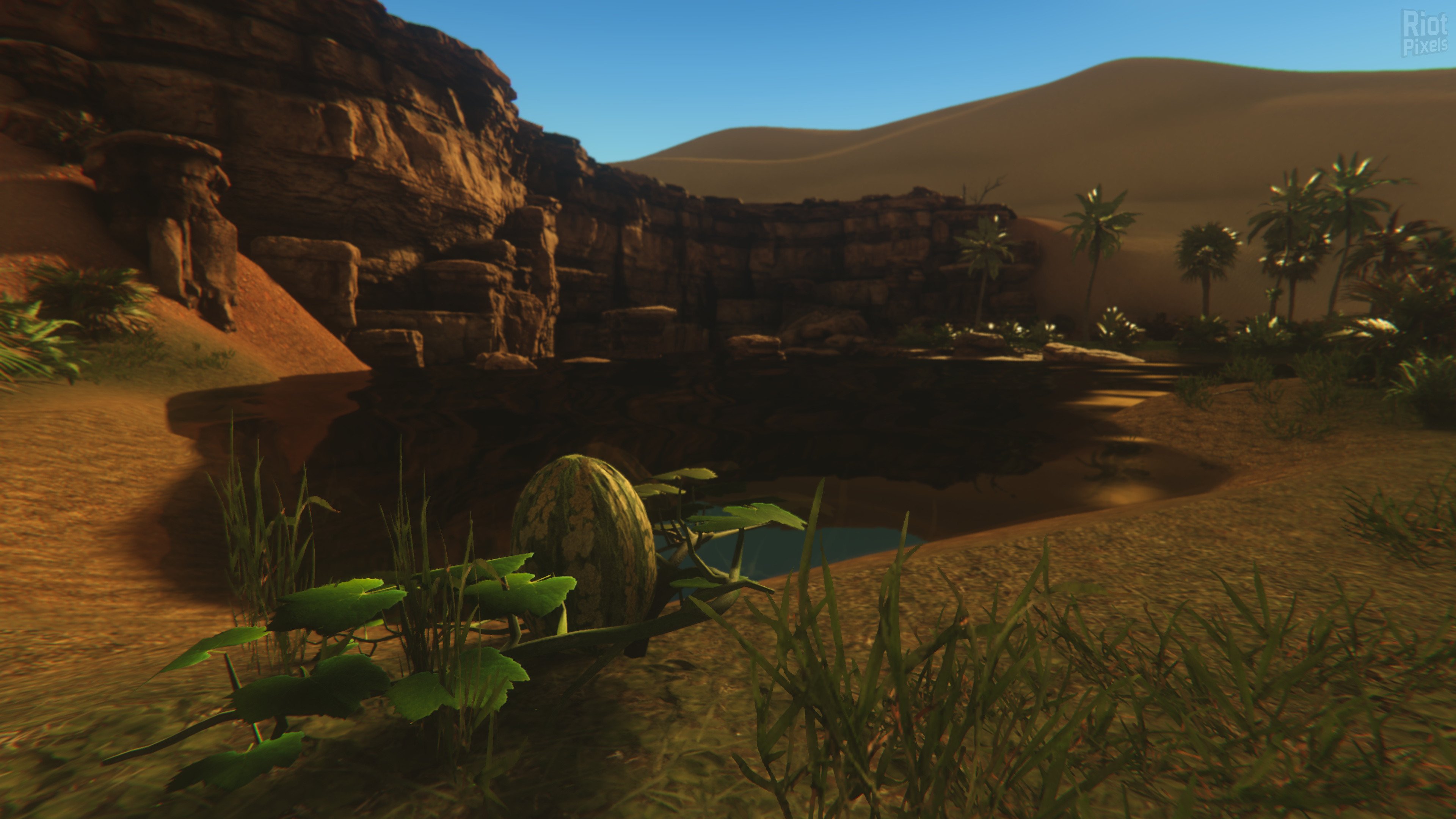 [2]-Starsand: Digital Supporter Edition – v1.0.9 + Bonus Content Download
