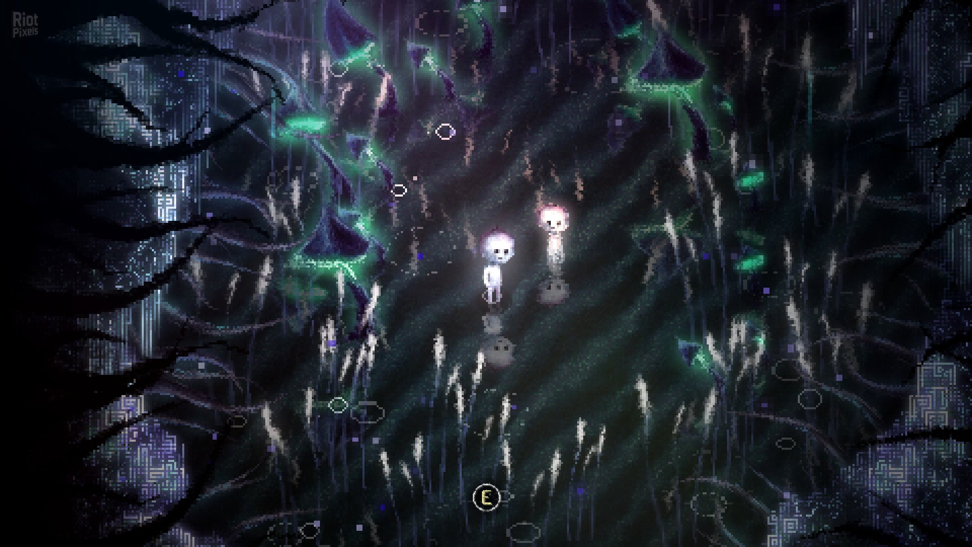 [14]-Dap Download