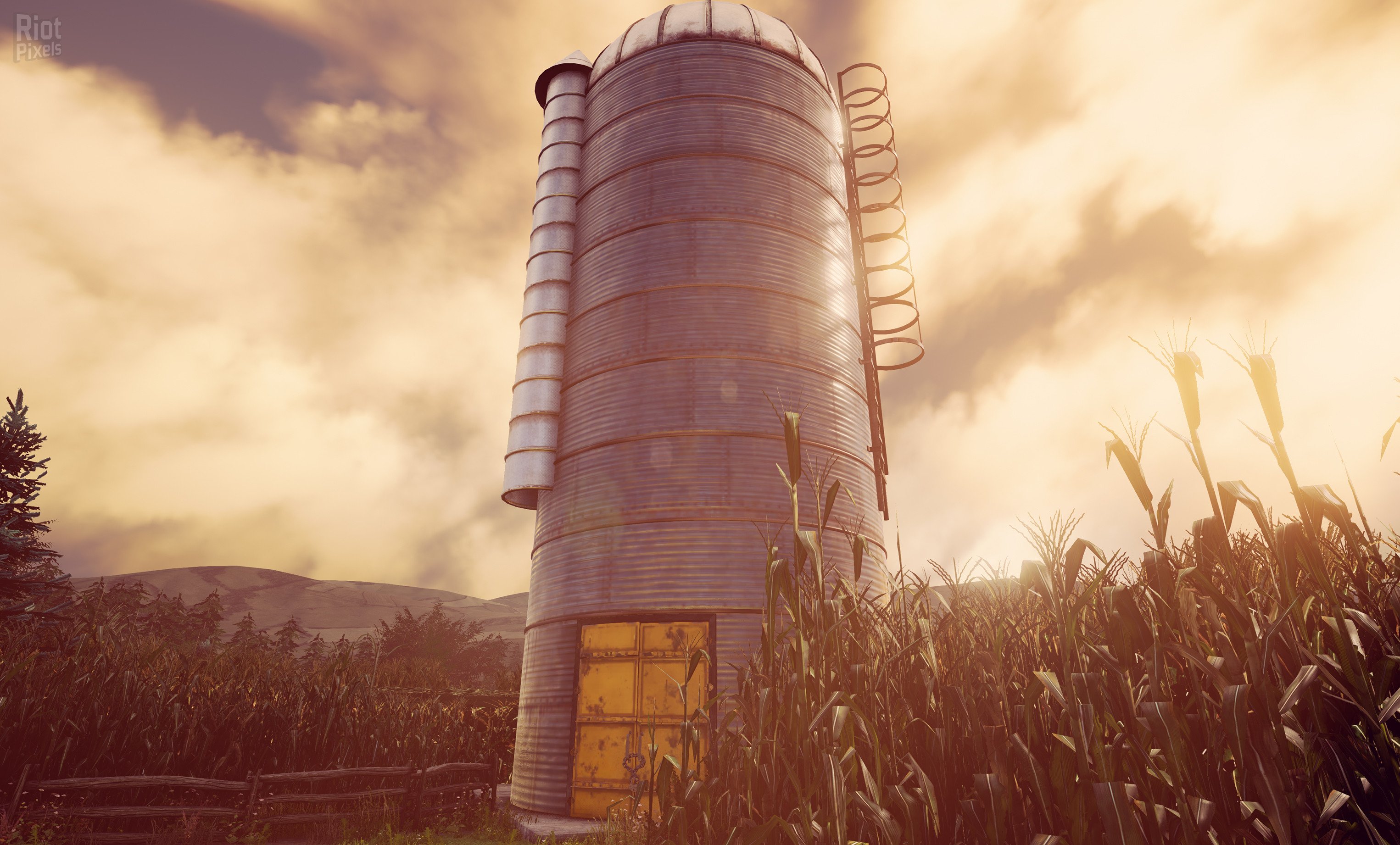 [7]-Maize Download