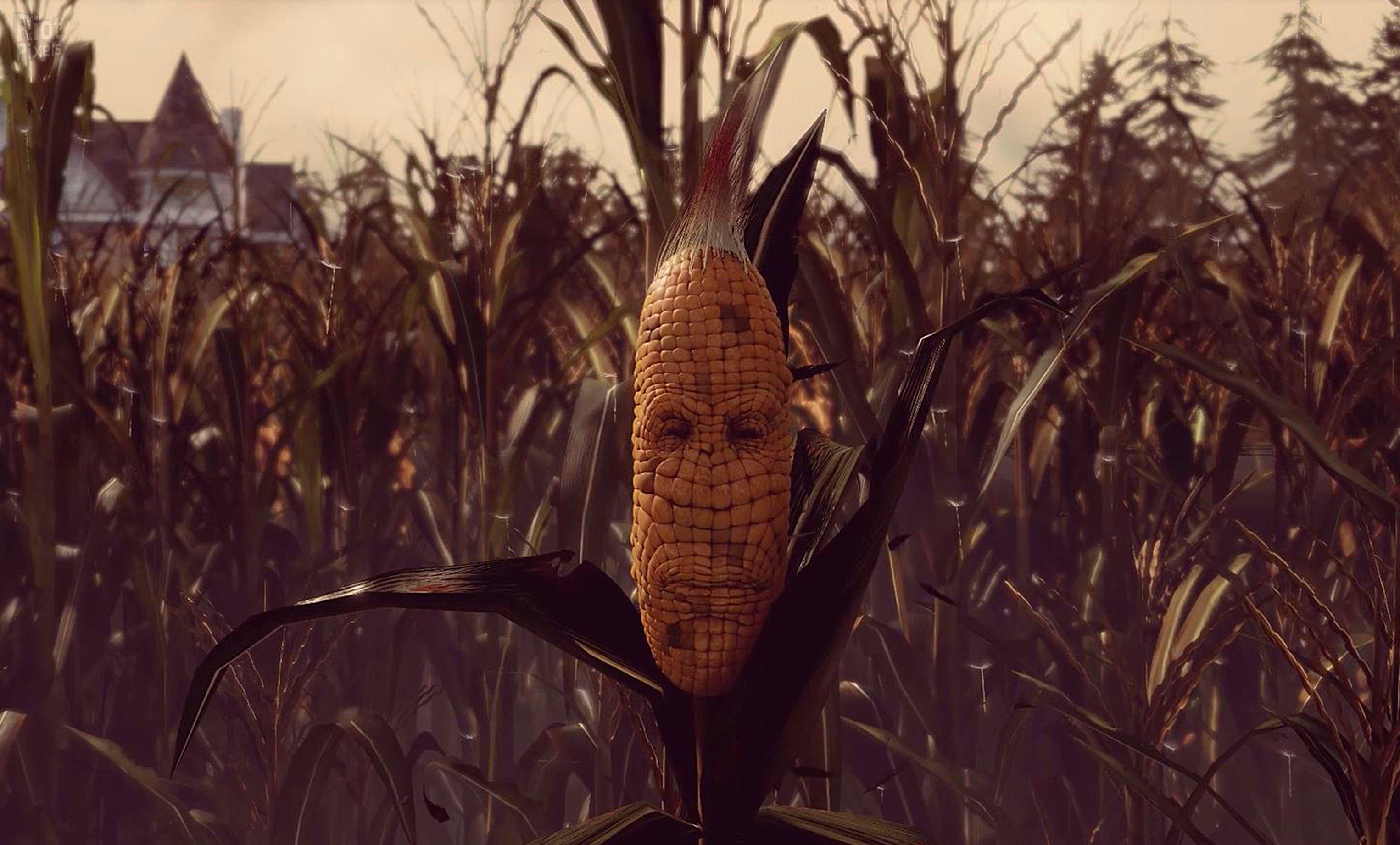 [10]-Maize Download