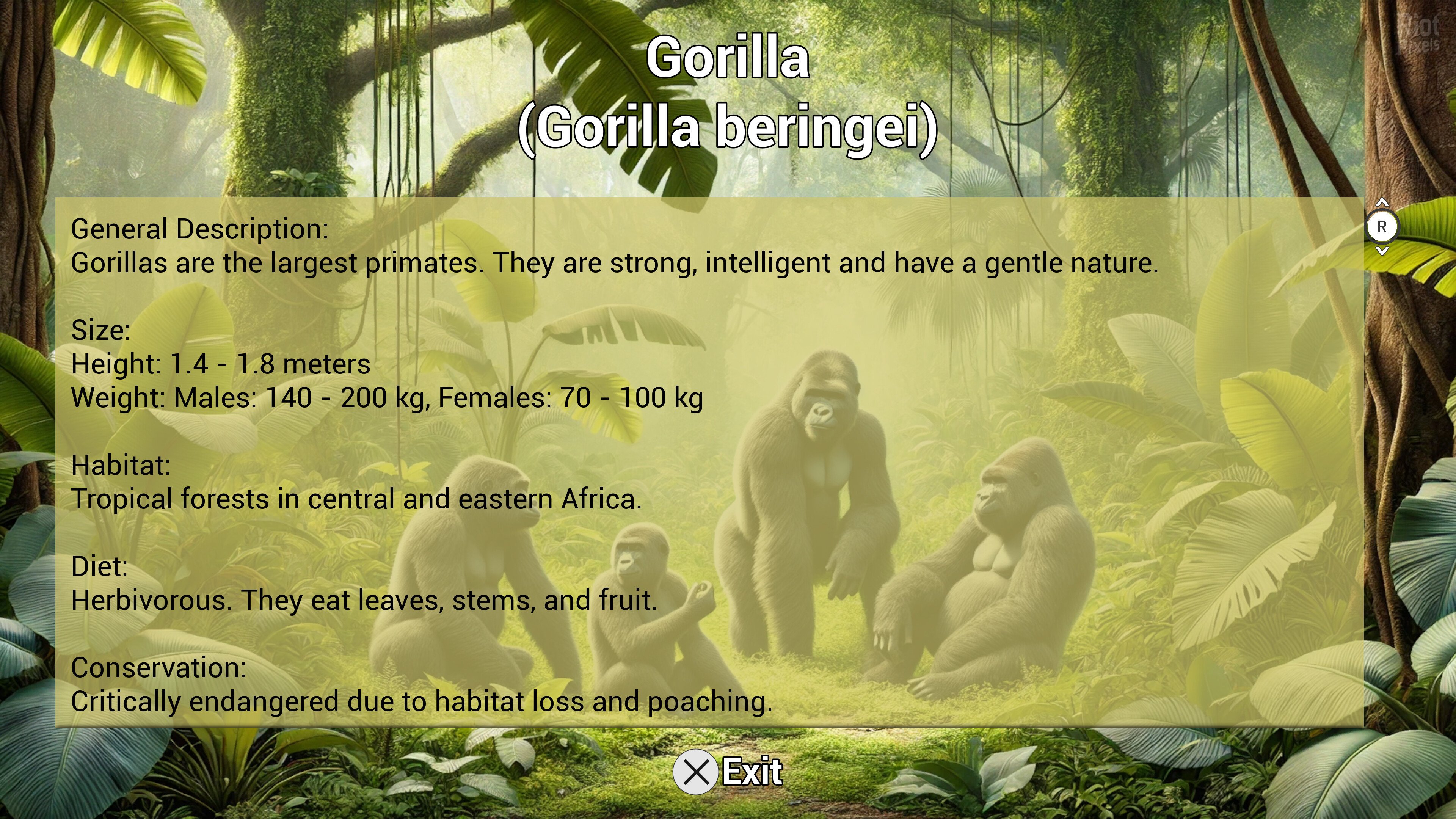 [4]-My Life: Zoo Vet – v1.2.0 Download