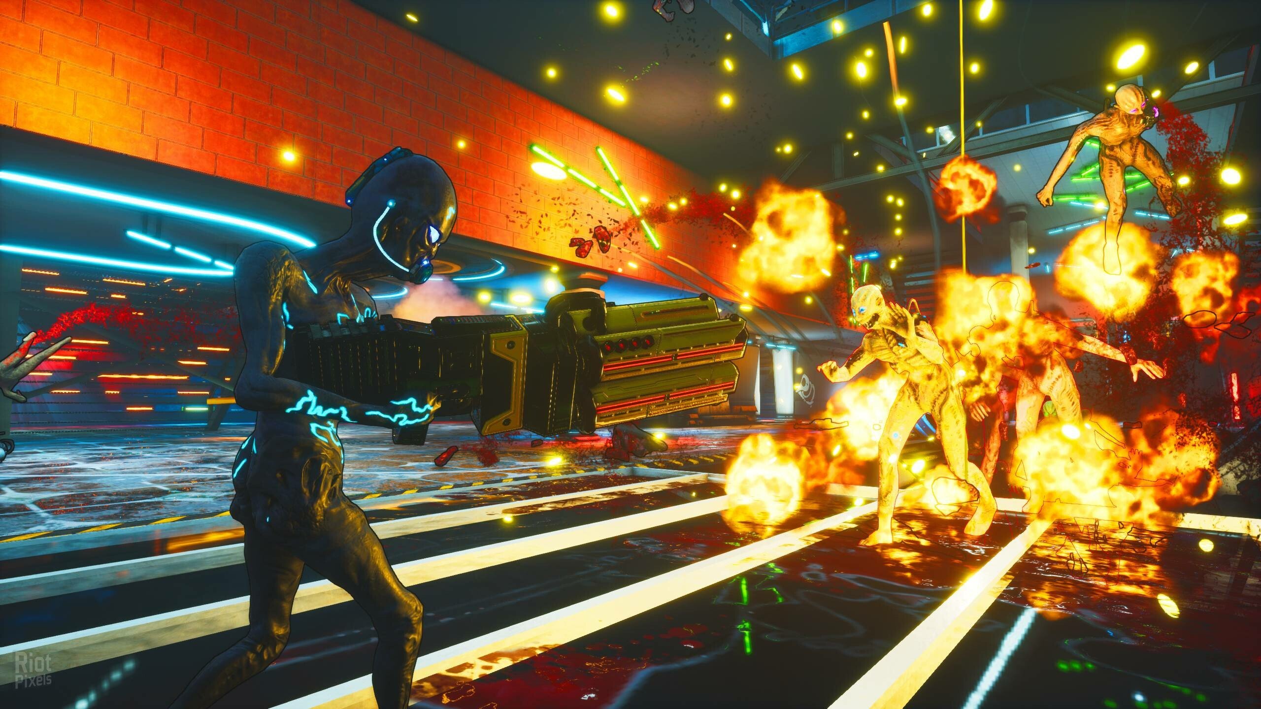[16]-Zedfest – v1.0 (Release) Download