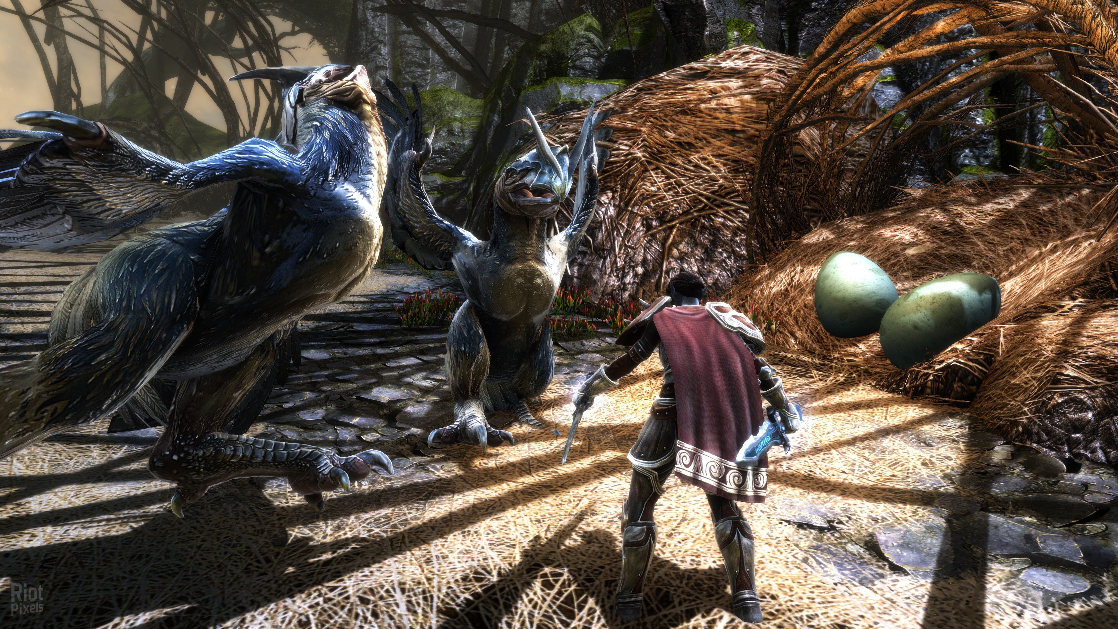 [9]-Kingdoms of Amalur: Re-Reckoning – FATE Edition – Version CS:13925/Update 11 + DLC + Bonus OST Download