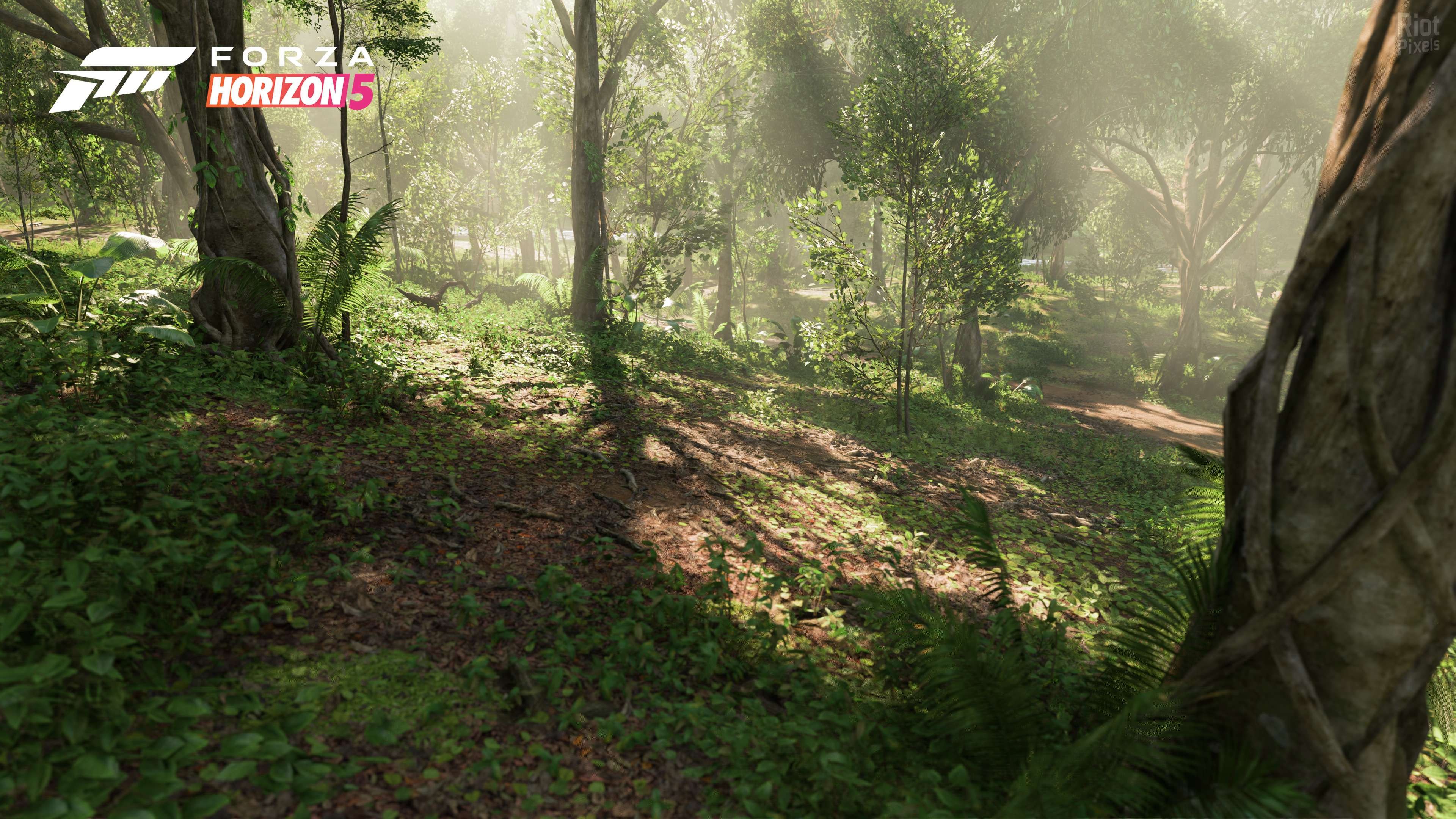 [6]-Forza Horizon 5: Premium Edition – v1.656.386.0 + 58 DLCs + 100% Unlock Save + Multiplayer Download