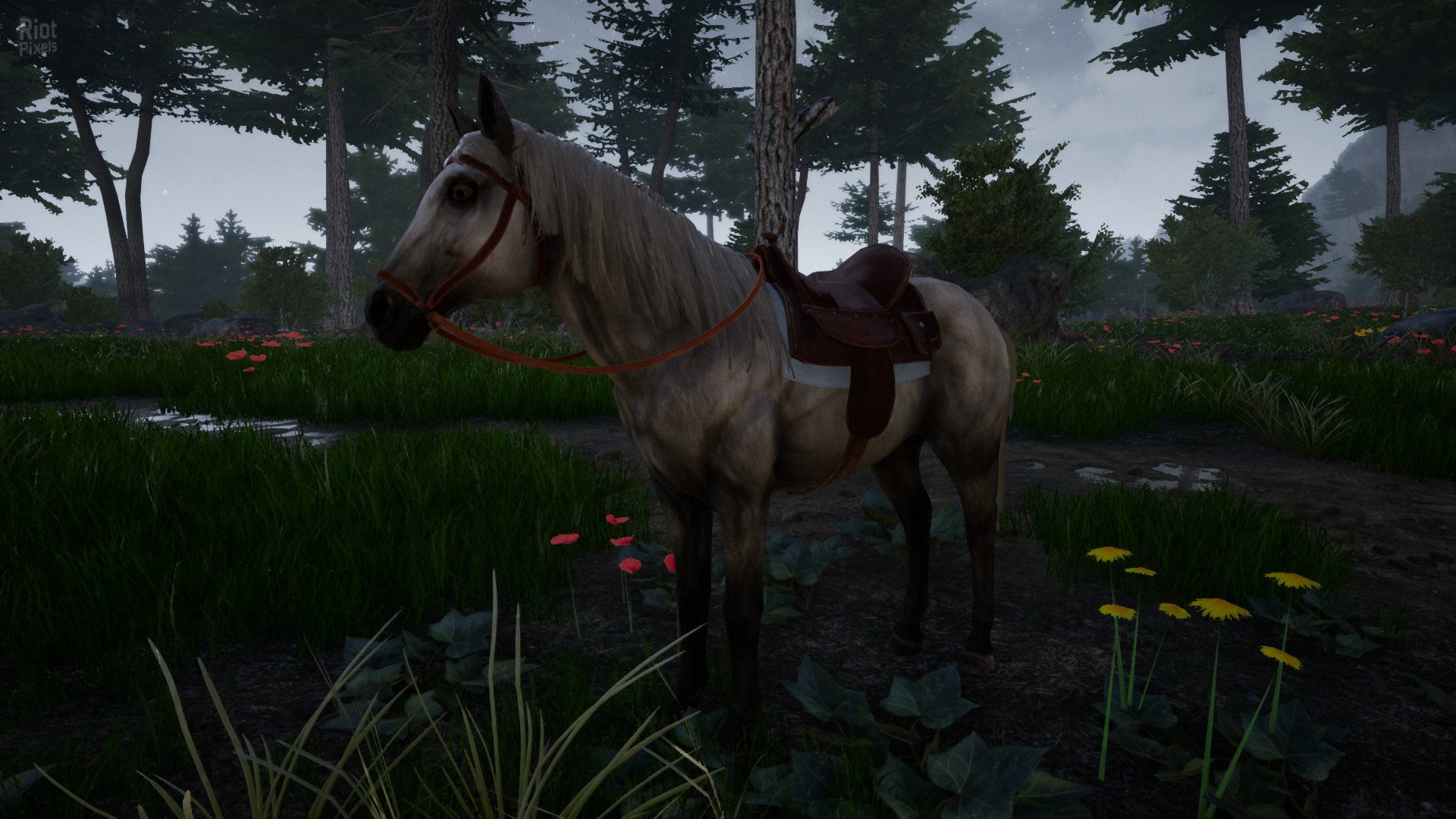 [8]-Horse Riding Deluxe 2 Download