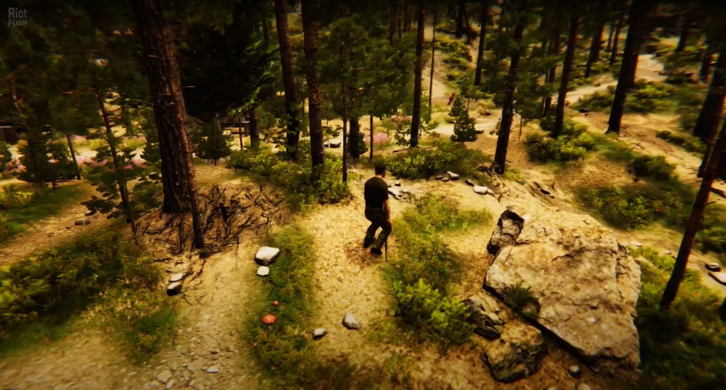 [15]-Animal Simulator Download