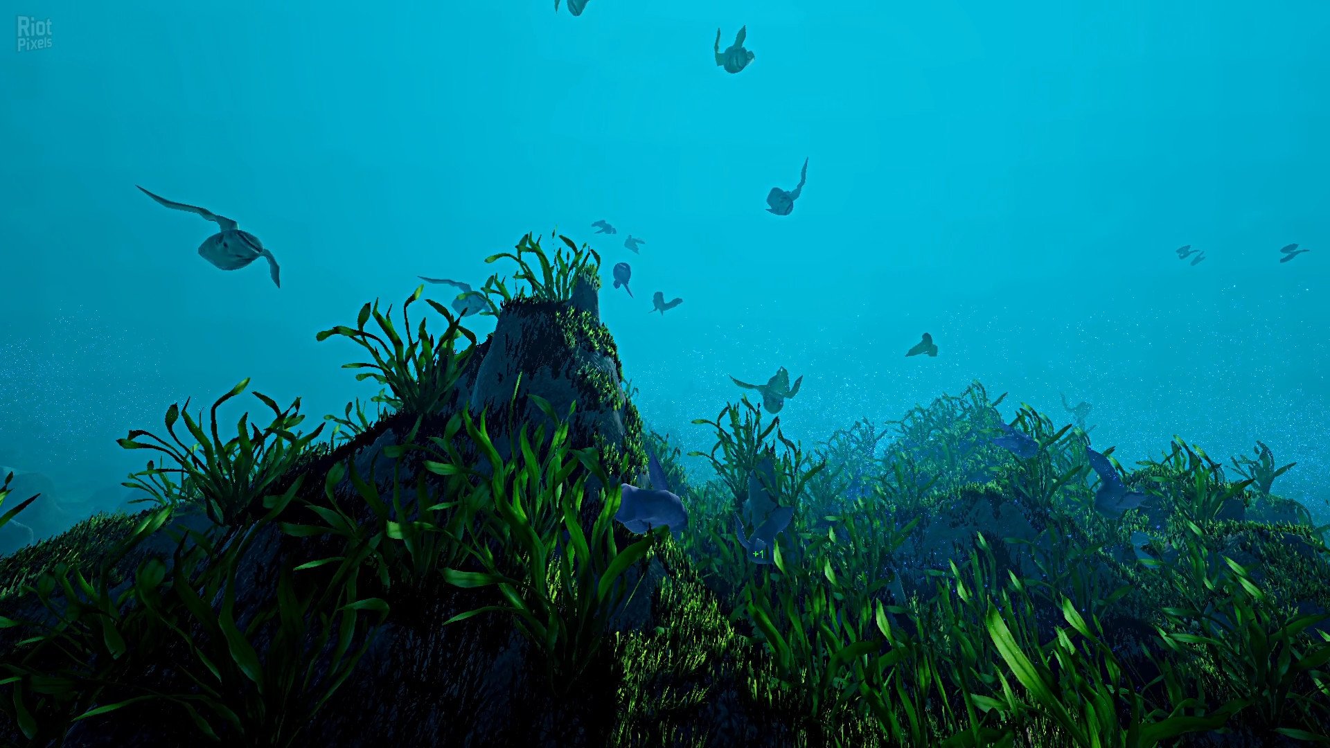 [5]-Ecosystem – v1.01 Download
