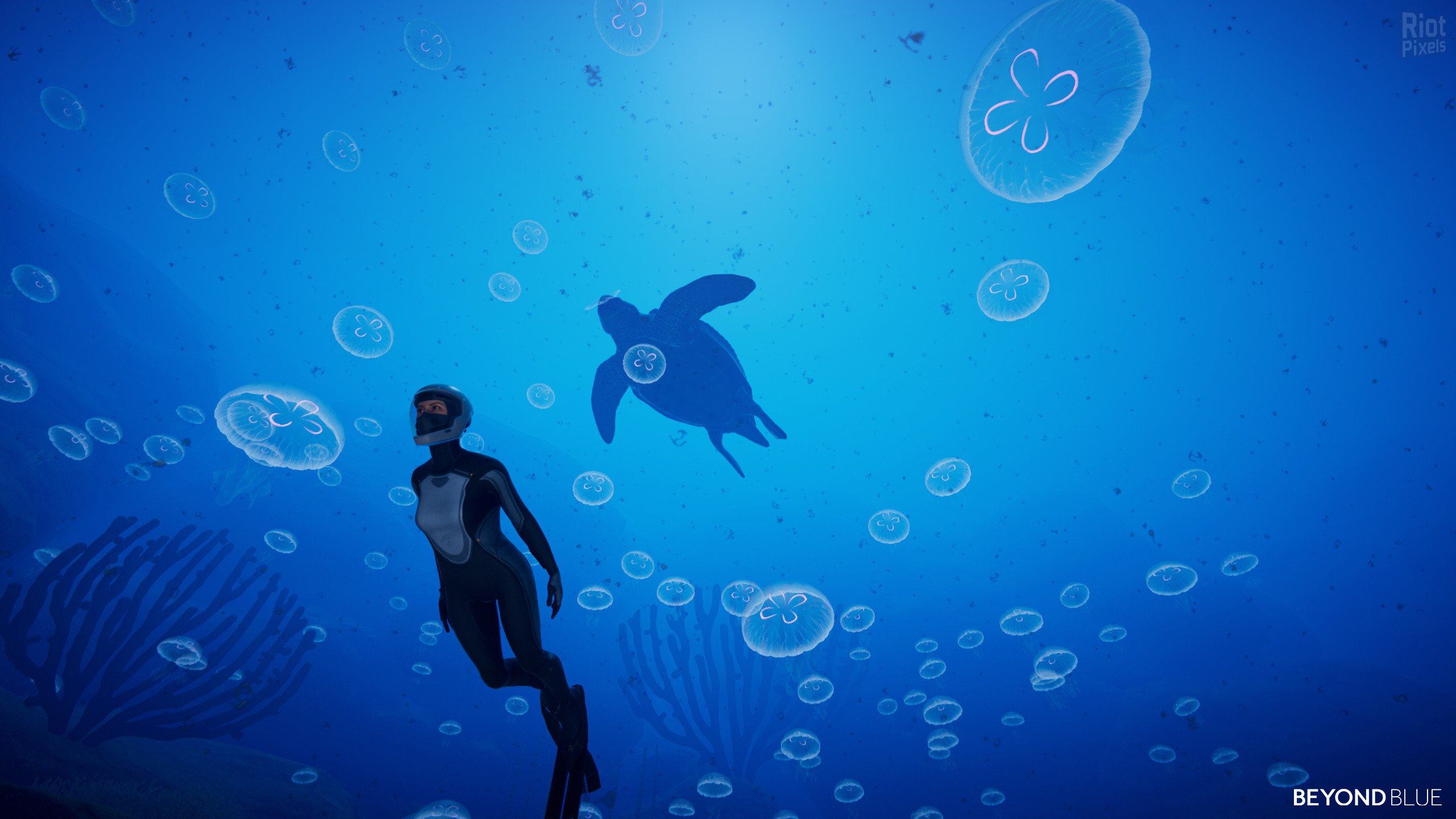 [5]-Beyond Blue – v1.7.17798 Download