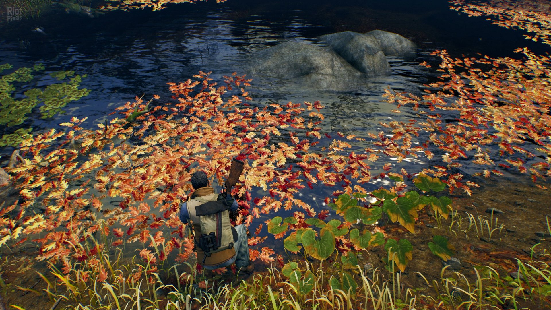 [14]-Open Country – v1.0.0.2636 Download