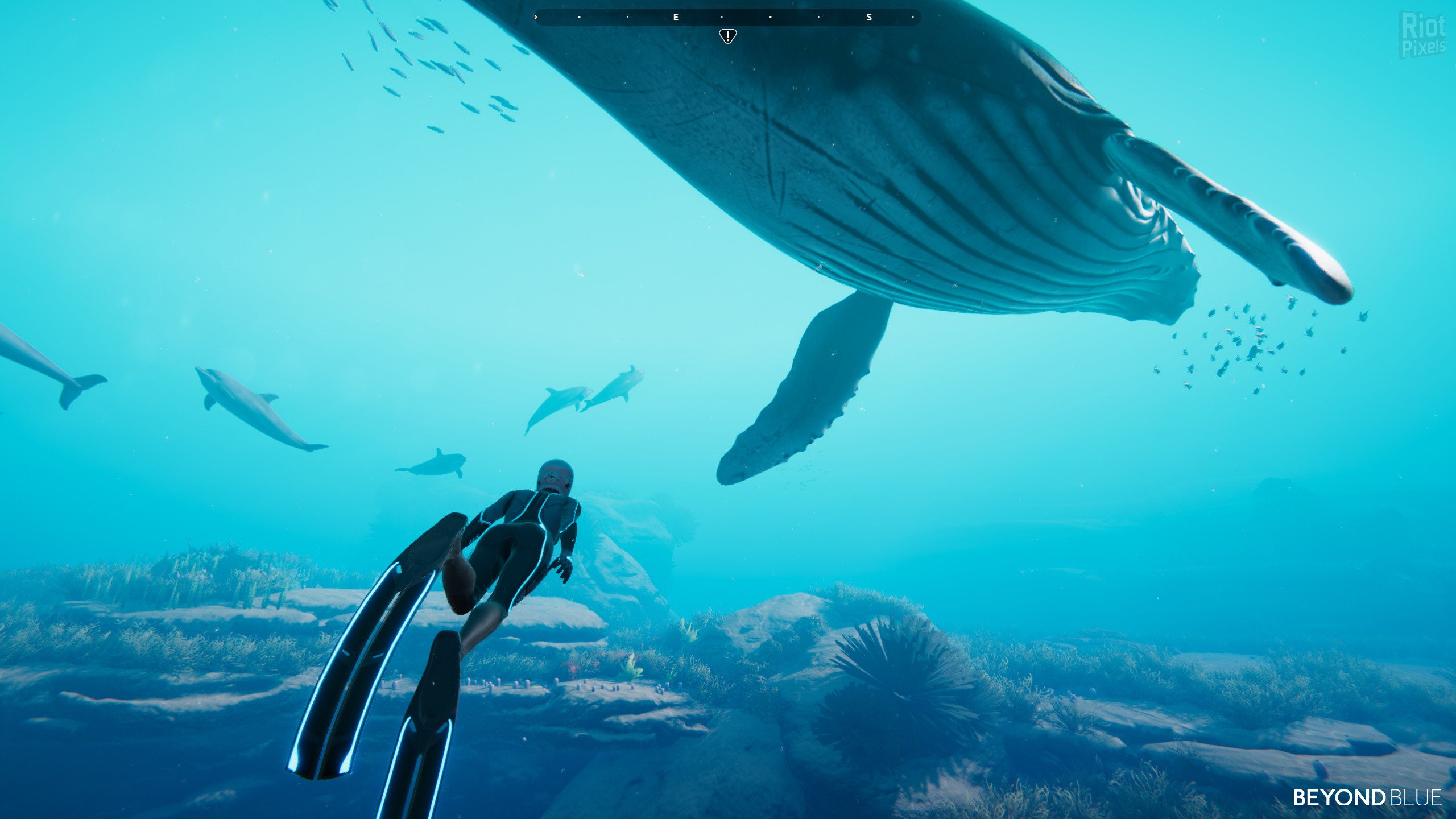[13]-Beyond Blue – v1.7.17798 Download