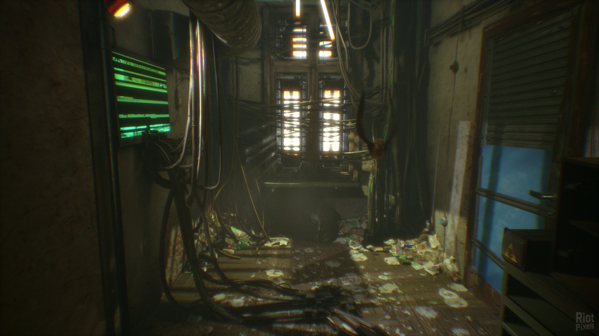 [10]->observer_ Download