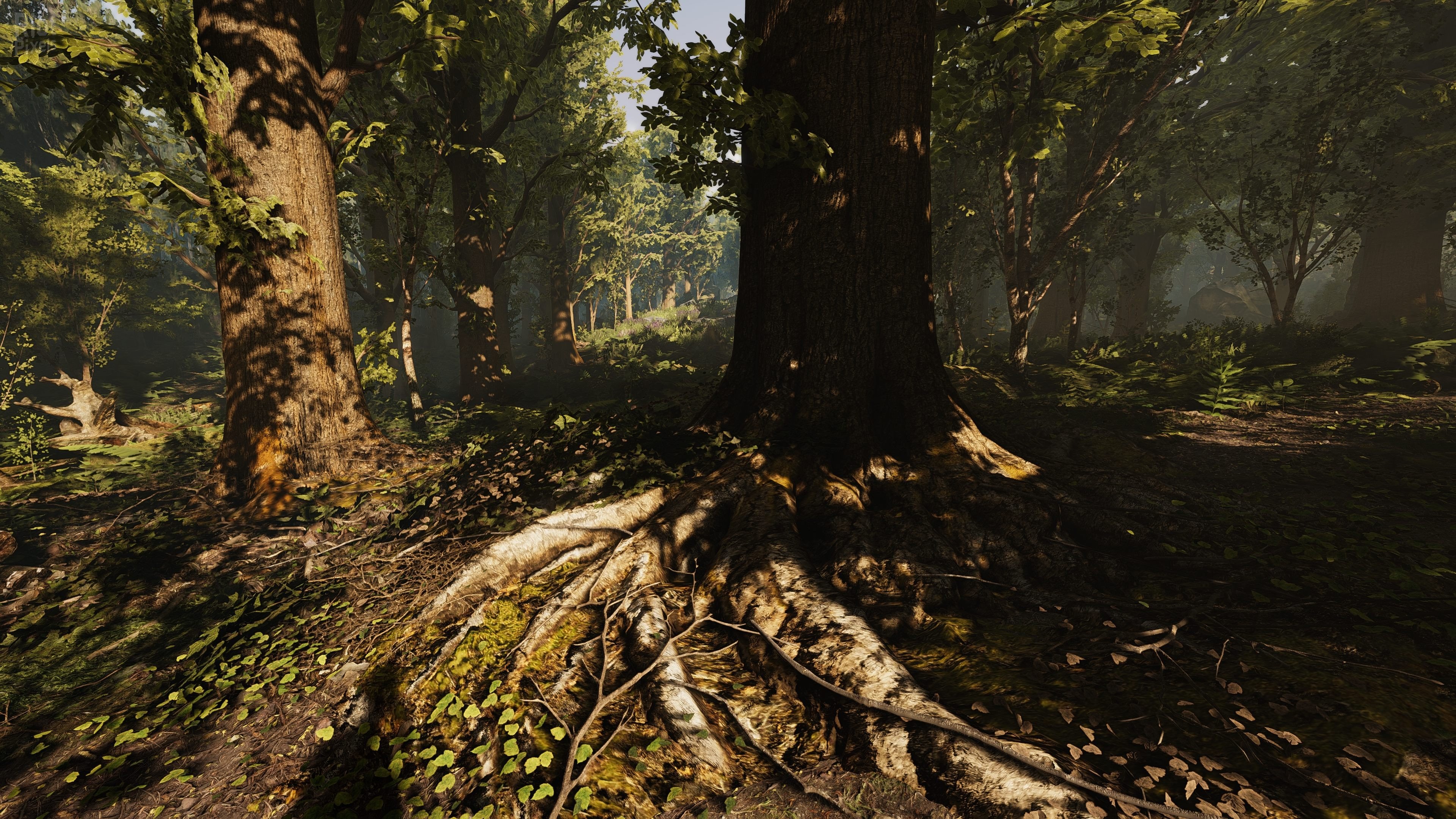 [16]-Heat Download