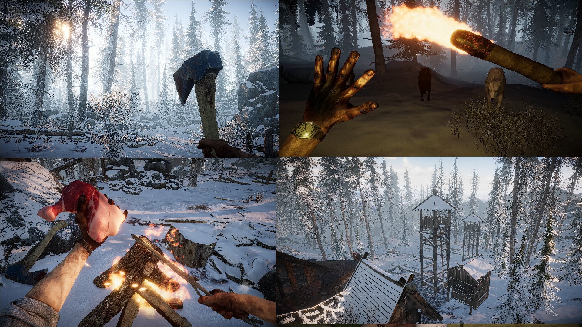 [13]-Short Snow Download