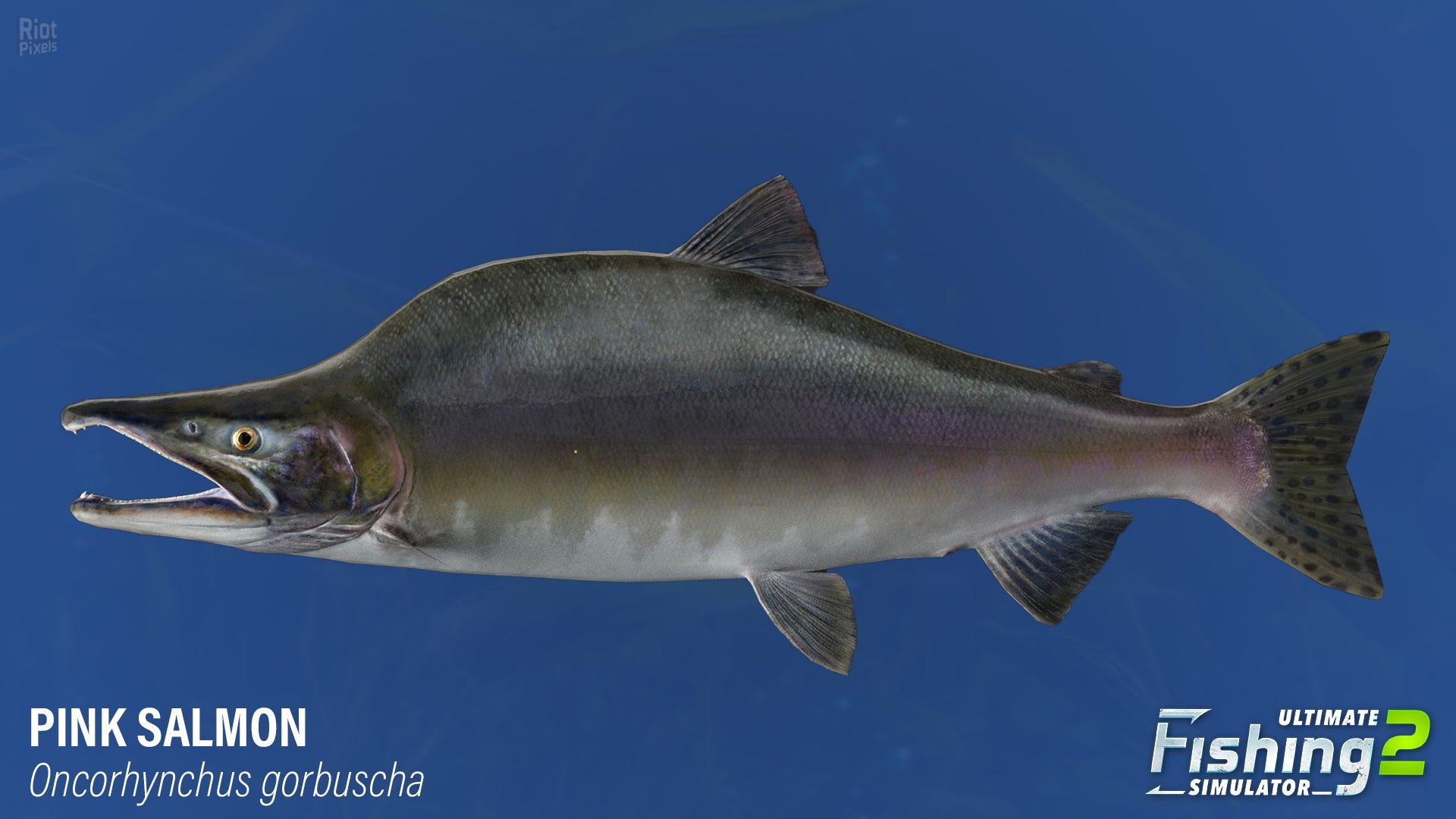 [23]-Ultimate Fishing Simulator 2 – v1.25.05.09.3975 Download