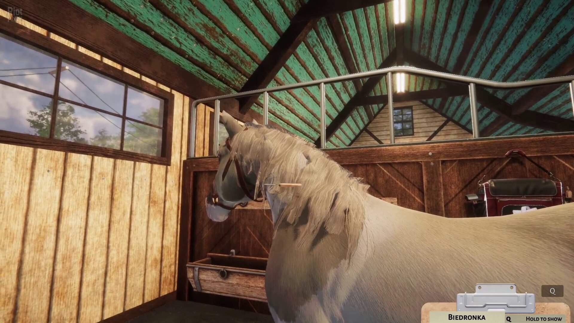 [9]-Animal Shelter: Family Bundle – v1.3.3-38.224 + 3 DLCs + Bonus OST Download