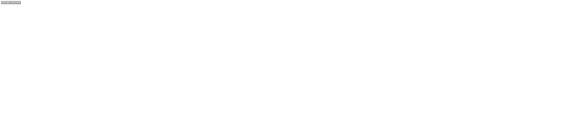 [27]-RIPOUT – v1.0:01 Download