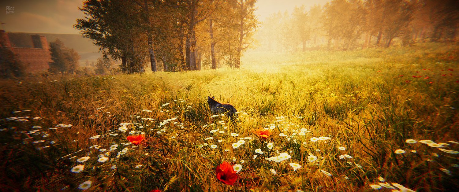 [7]-Animal Simulator Download