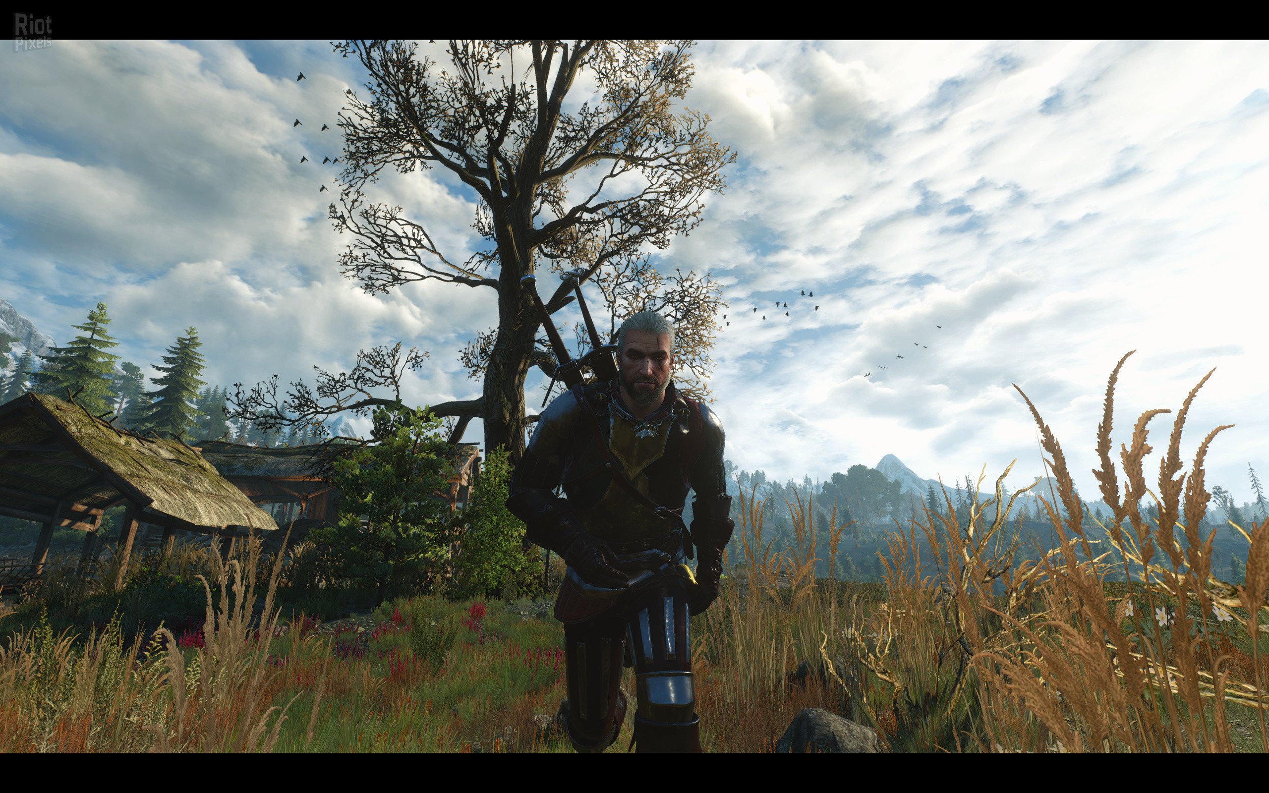 [3]-The Witcher 3: Wild Hunt – Game of the Year Edition v1.31/v1.32 + HD Mod Download