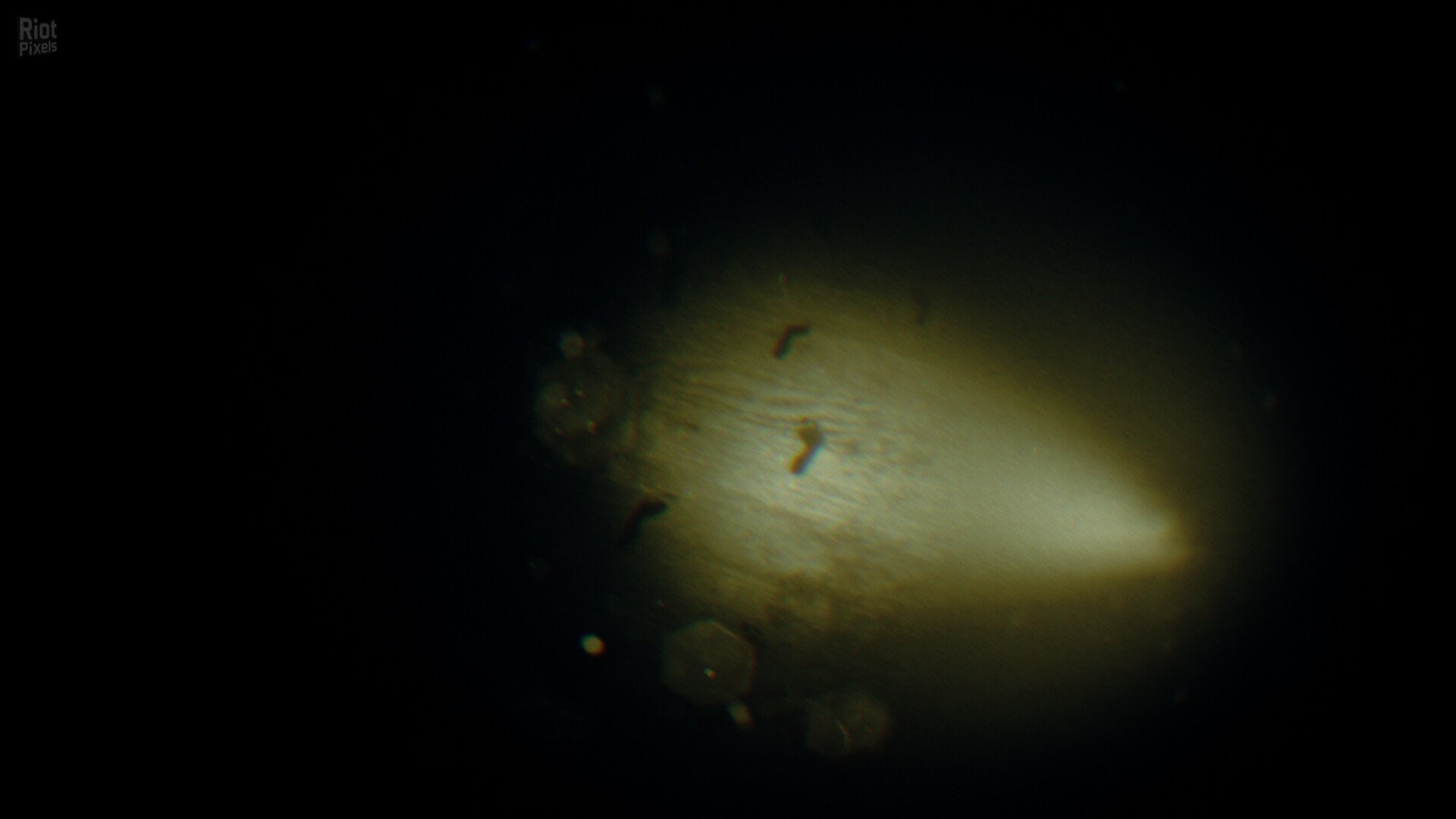 [7]-REC: Beyond The Lens Download