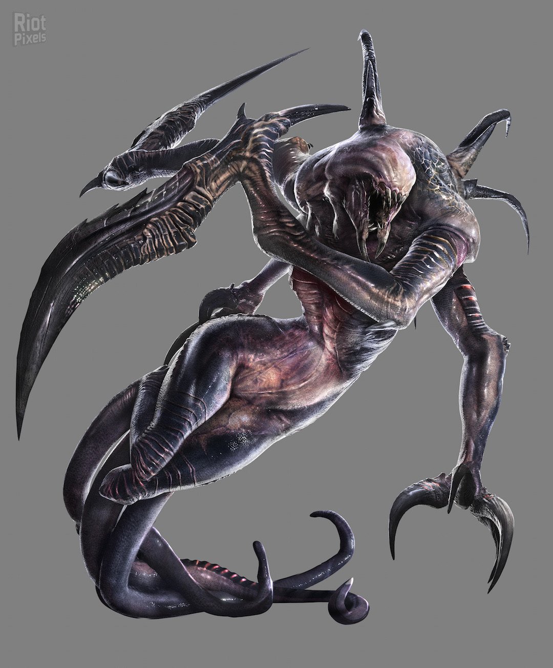 [26]-Evolve Download