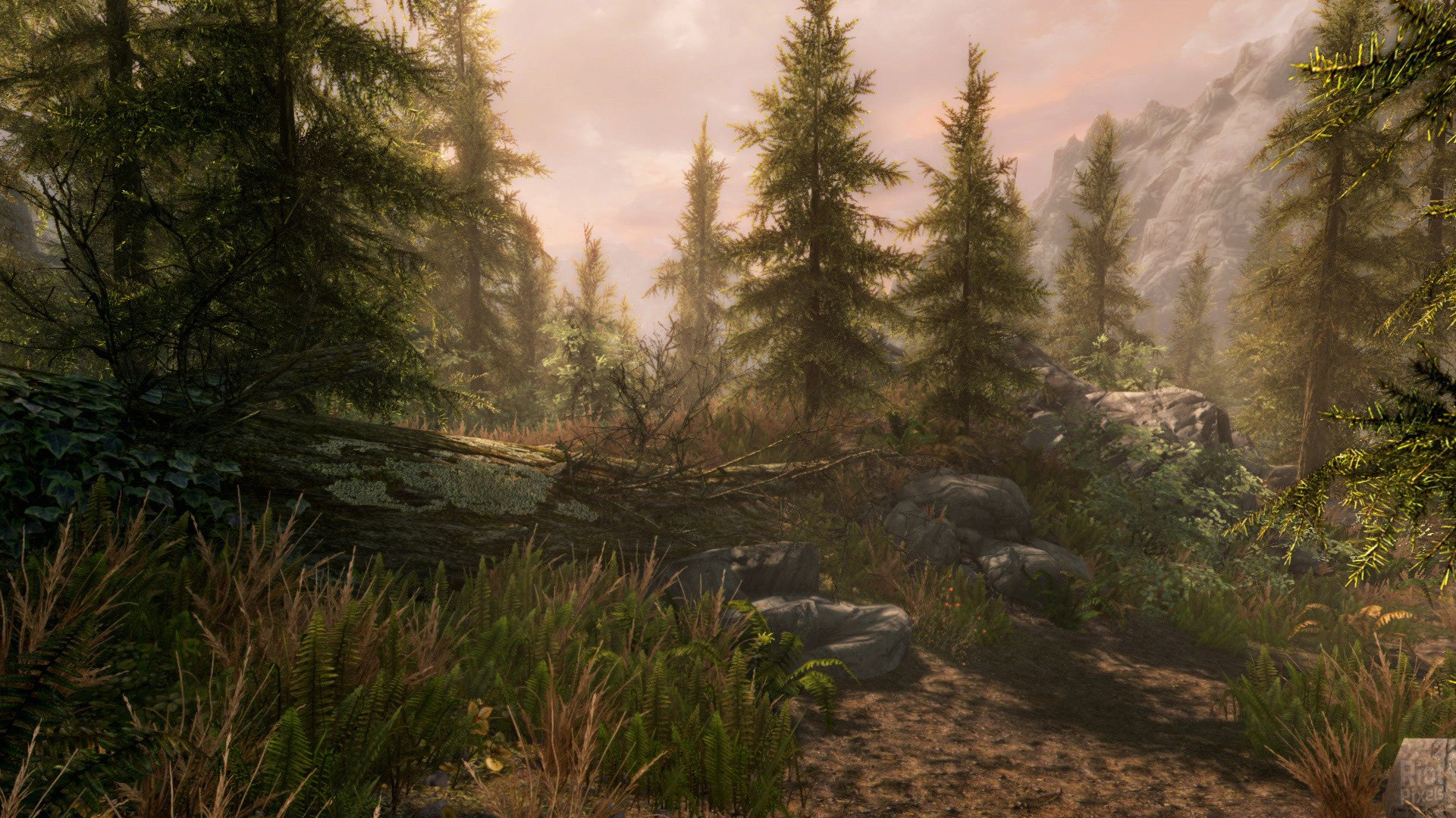 [14]-The Elder Scrolls: Skyrim – Special Edition – v1.5.97.0 + Creation Club Content Download