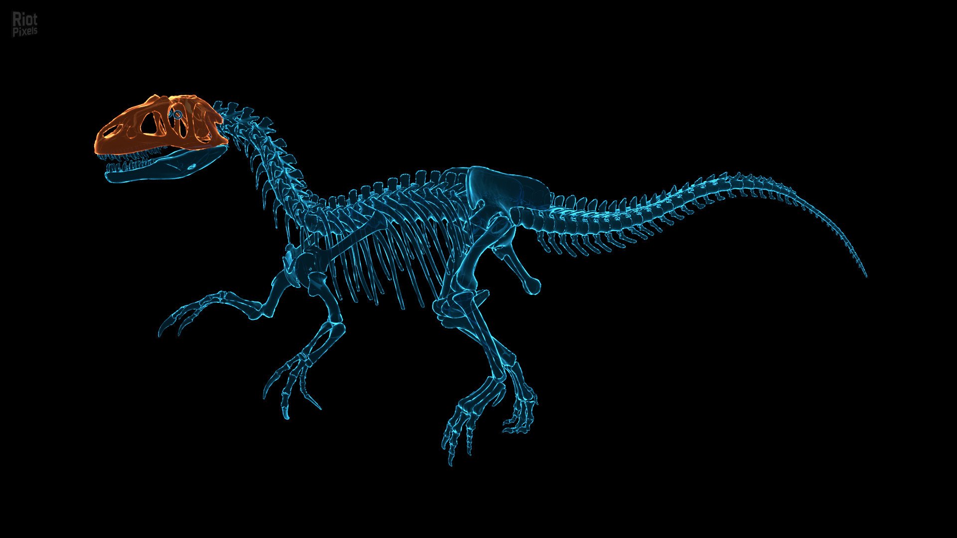 [13]-Dinosaur Fossil Hunter – v2.0.21 Download