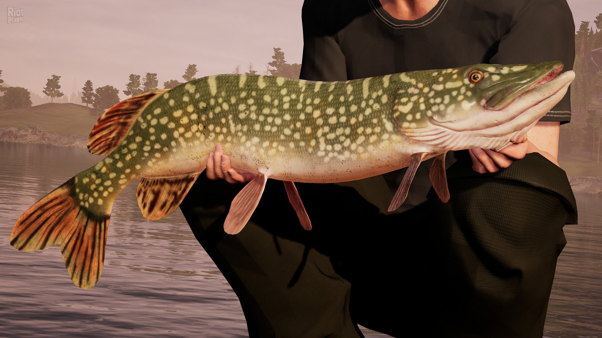 [8]-Fishing Sim World: Pro Tour – Build 9995607 (Denuvoless) + All DLCs Download