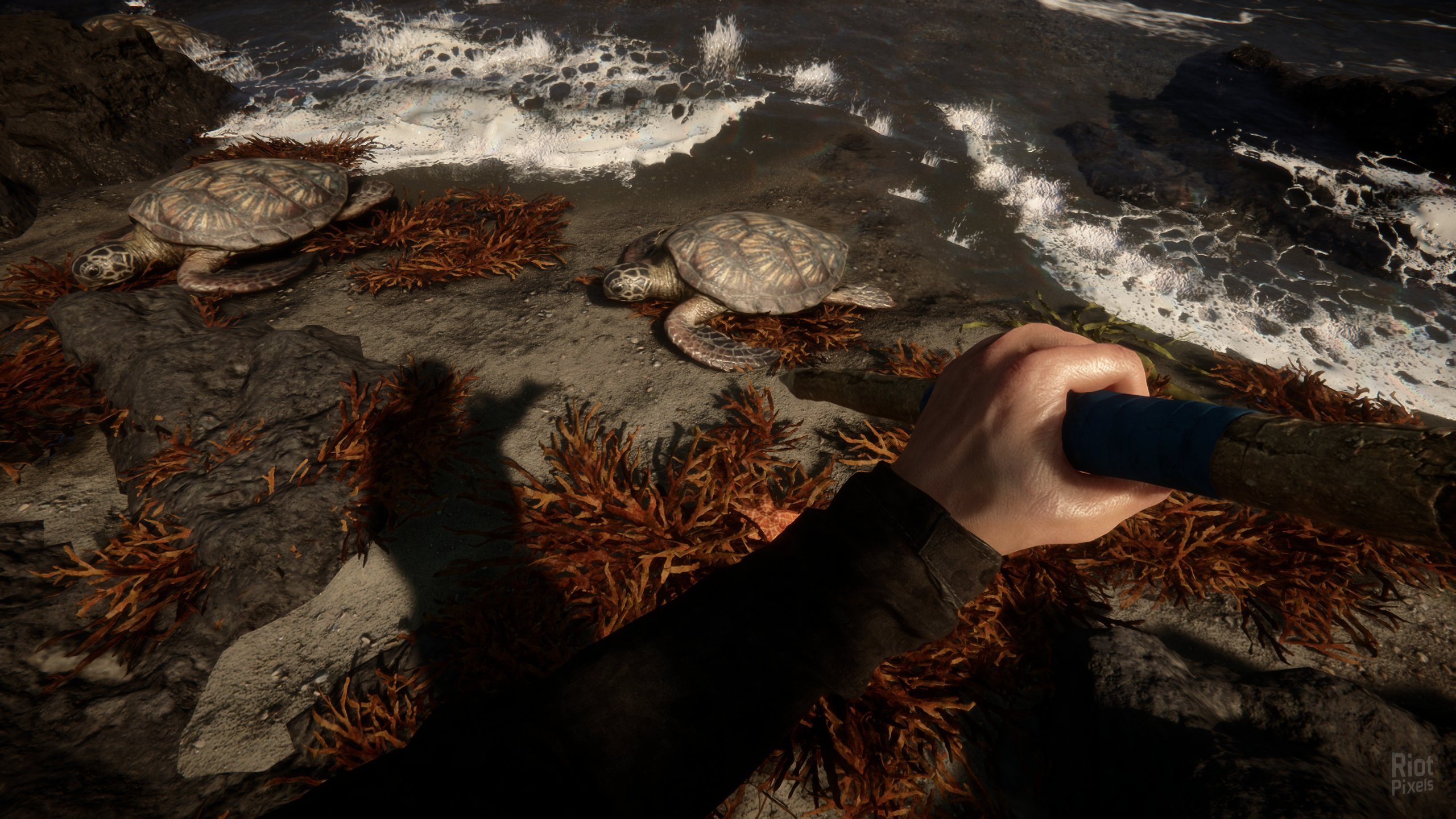 [12]-Sons of the Forest – v48738 + Multiplayer Download