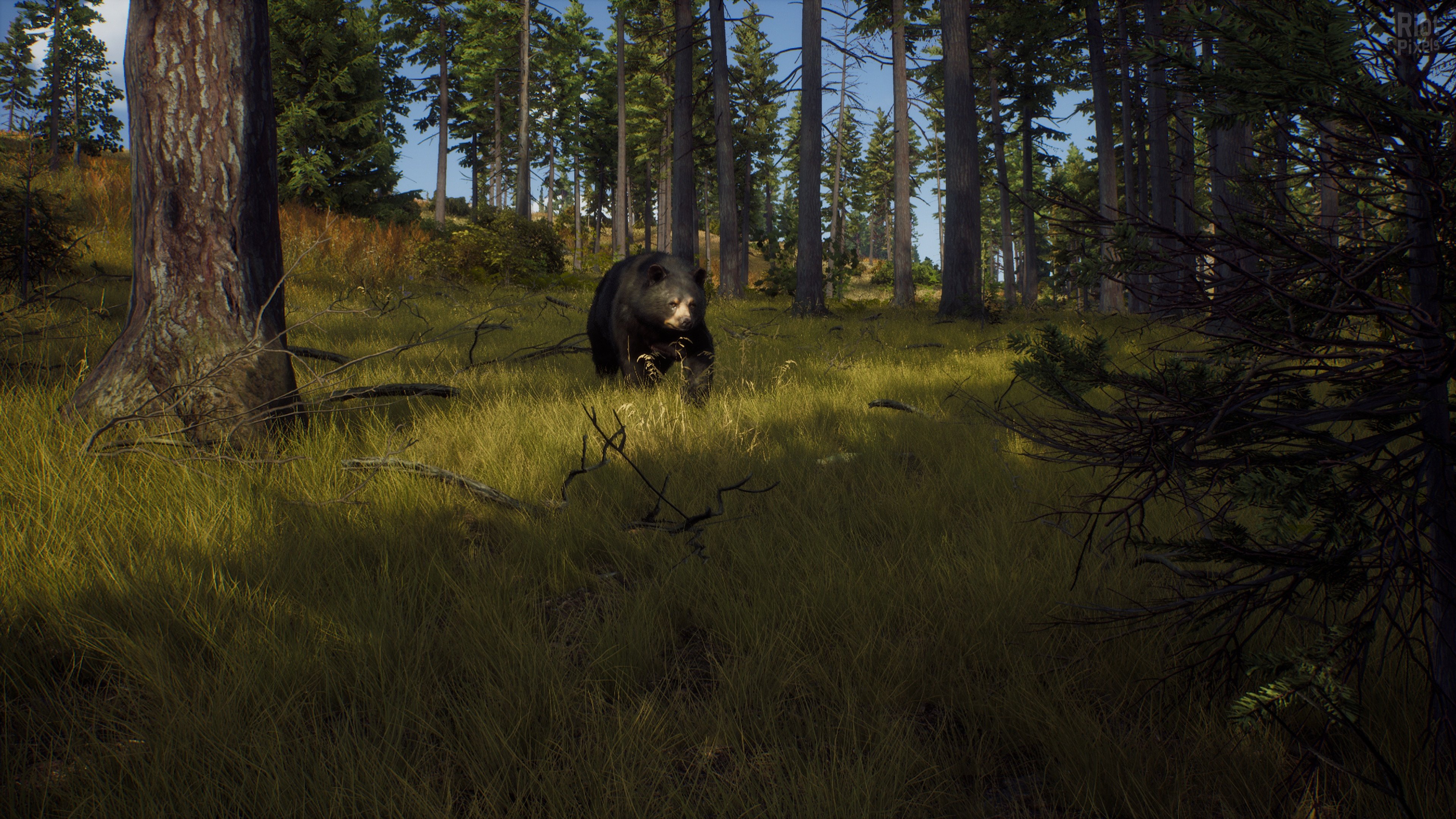 [7]-Way of the Hunter: Ultimate Edition – v1.6 + 10 DLCs + Windows 7 Fix Download