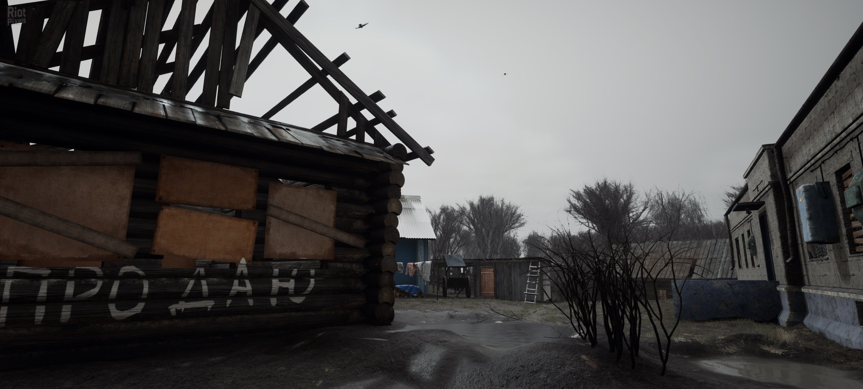 [15]-Dark PGT Download