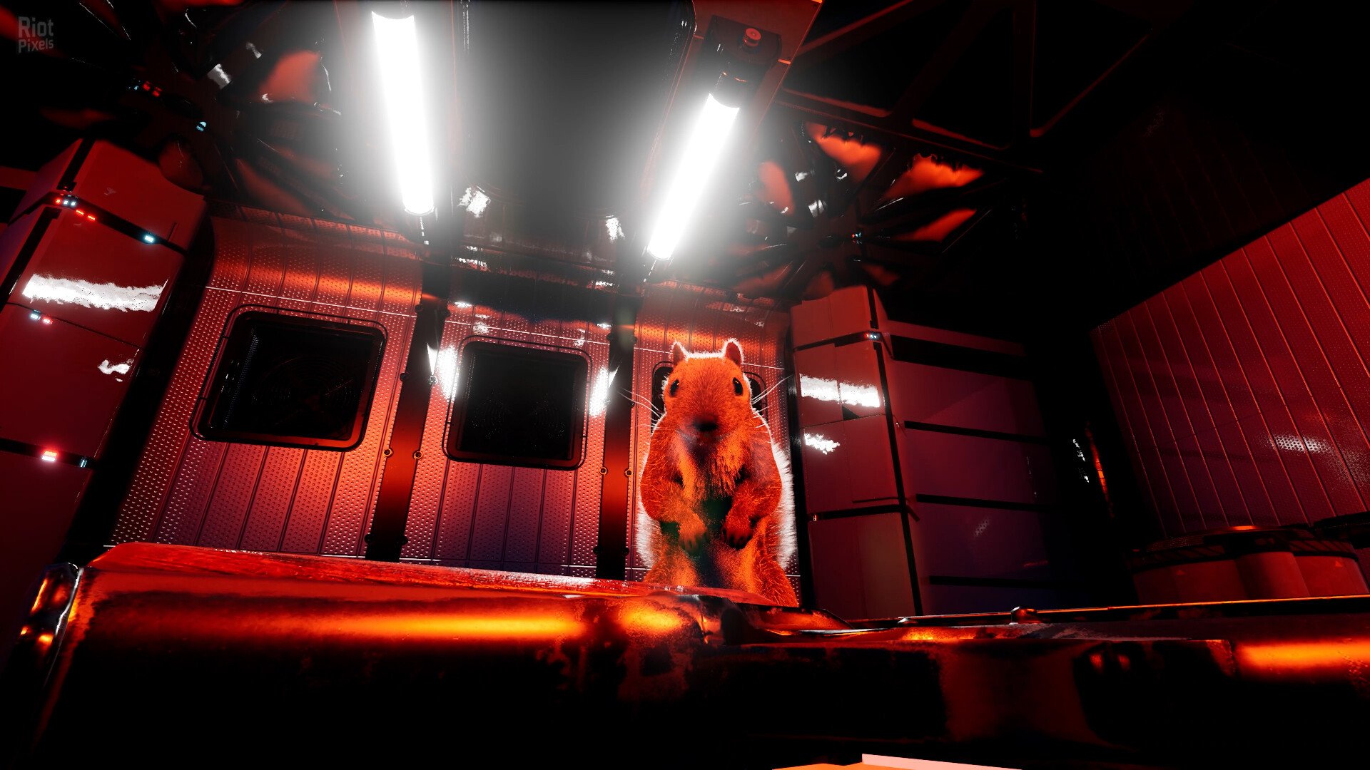 [8]-Squirrel with a Gun – v1.5.10.0 Download