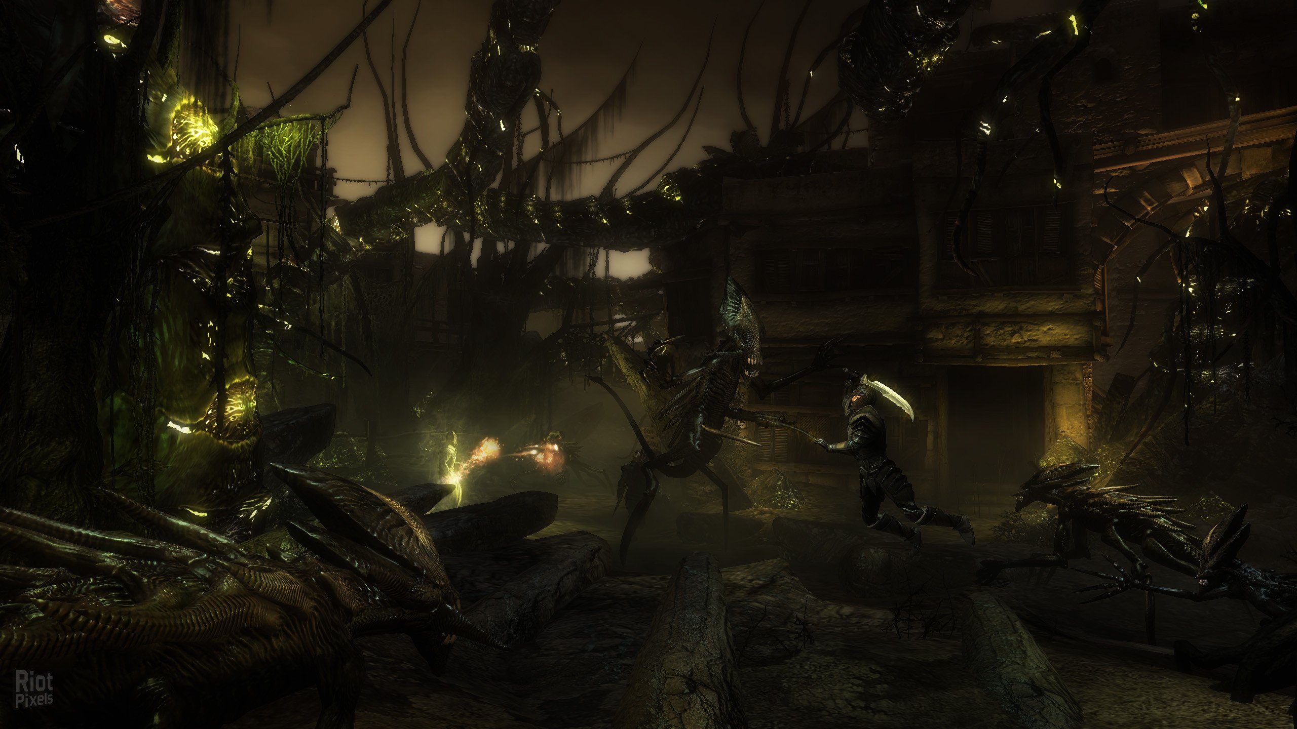 [6]-Two Worlds II HD – v2.07 + All DLCs Download