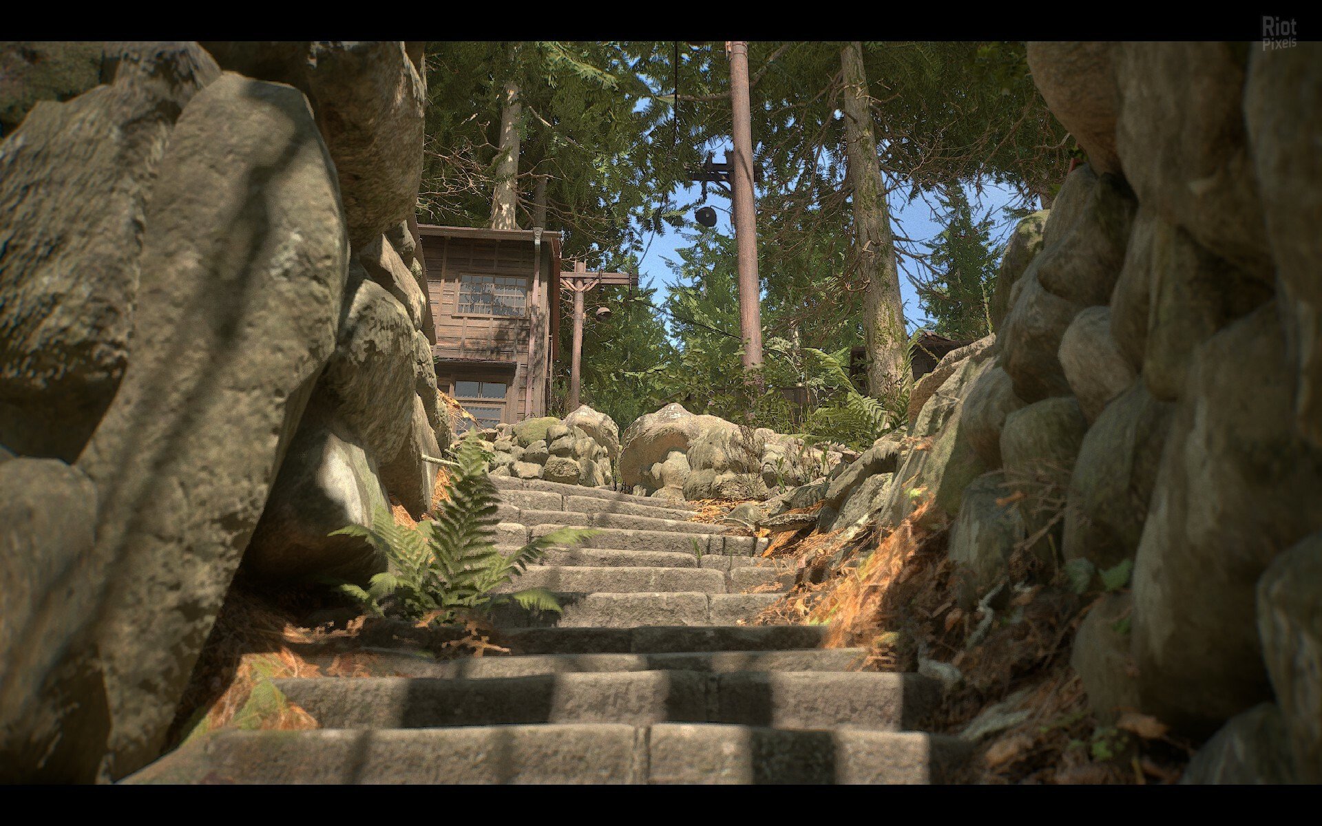 [12]-NARIBIKIMURA Download