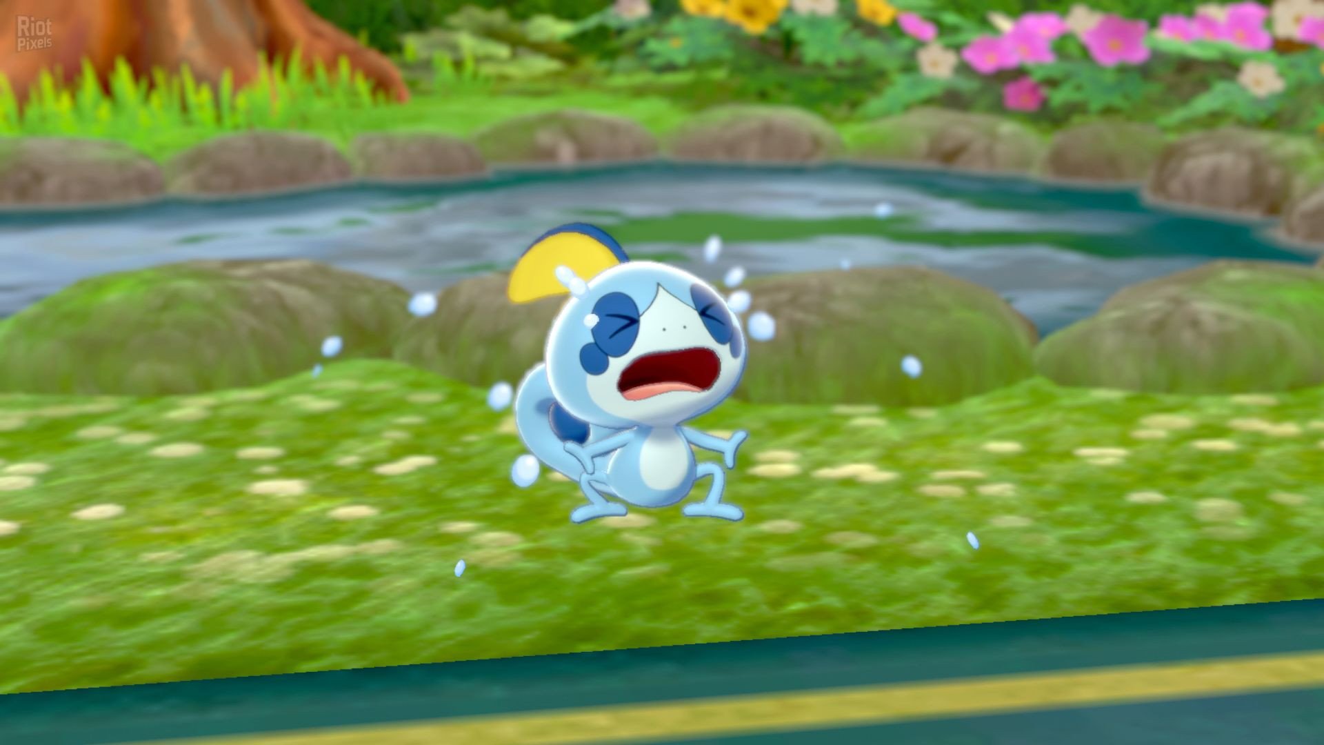 Pokemon: Sword/Shield – v1.3.1 + 2 DLCs + Yuzu Emu for PC-HohohoGames