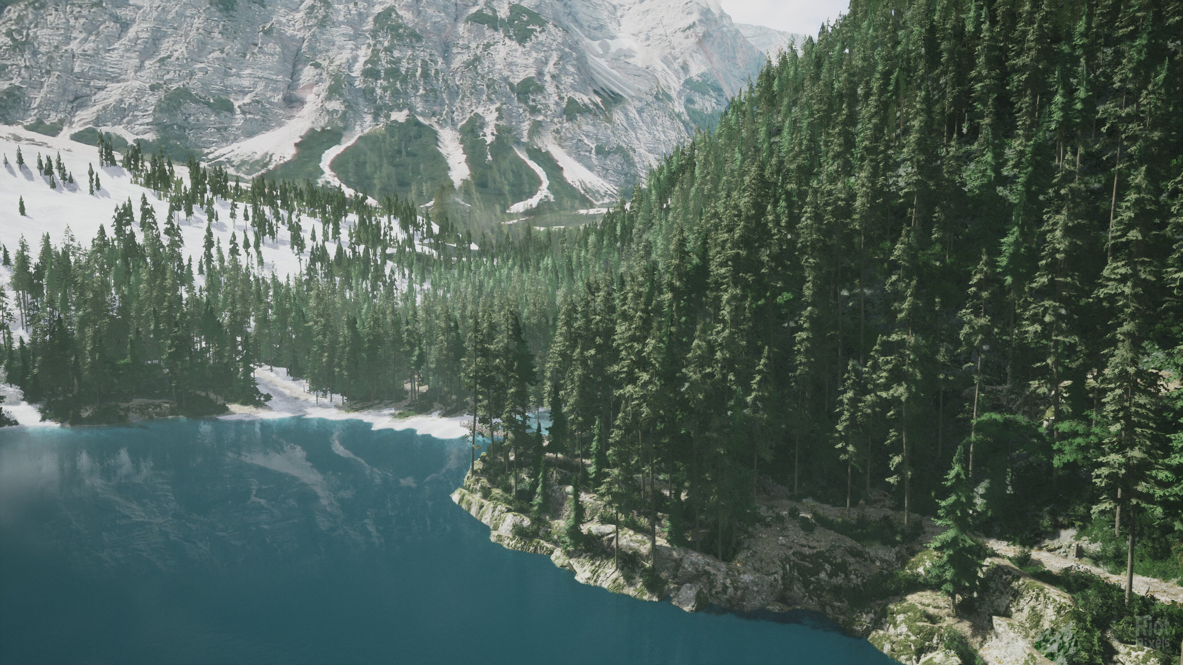 [11]-Lushfoil Photography Sim Download