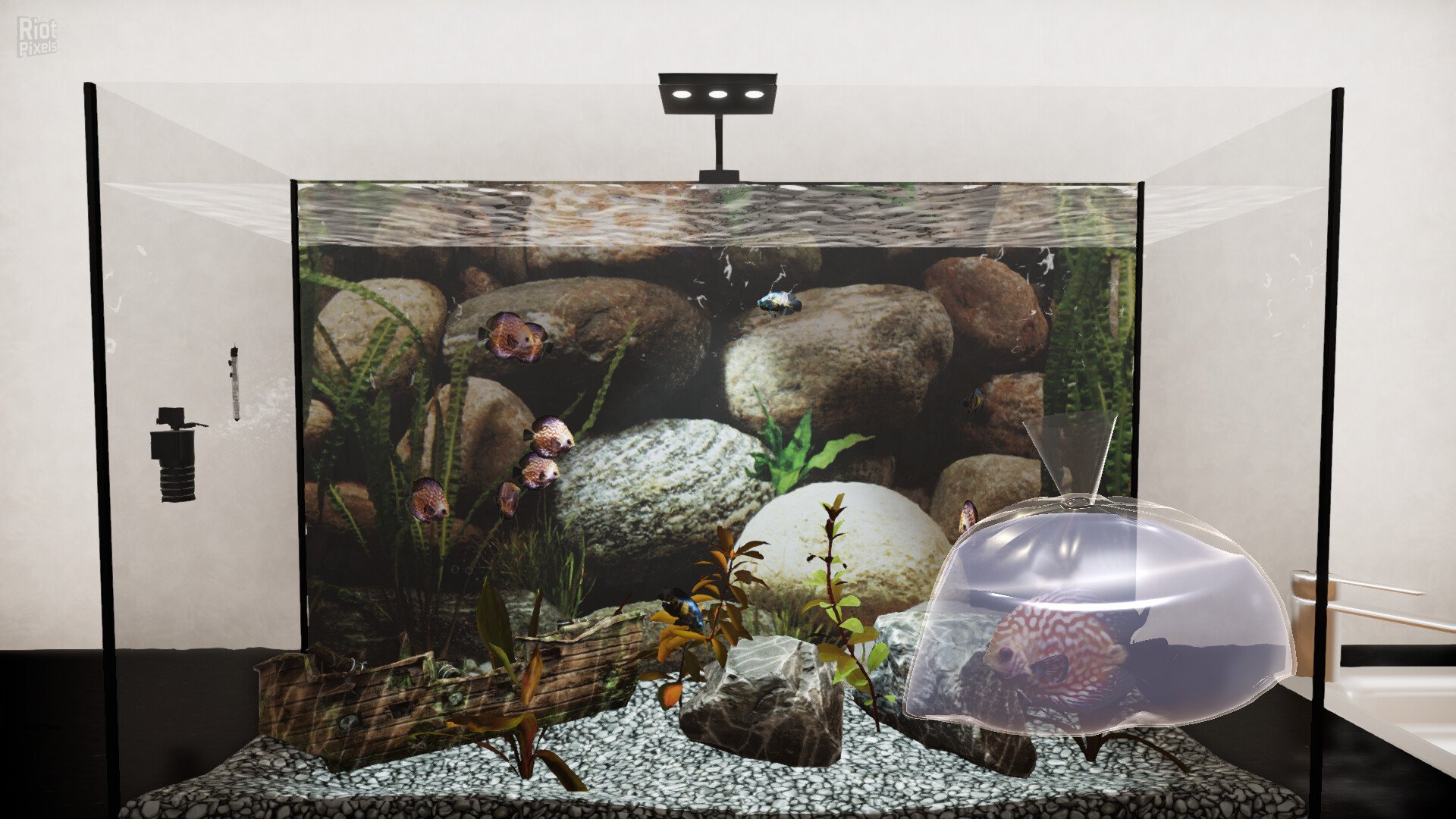 [10]-Aquatic Store Simulator Download