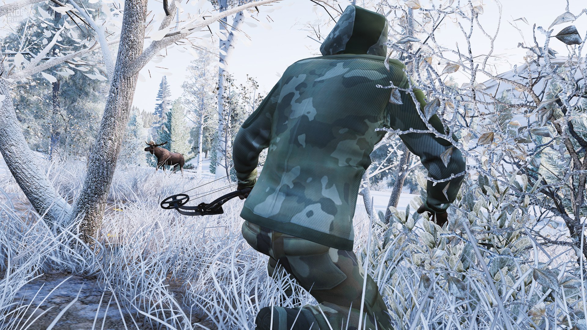 [5]-Hunting Simulator – v1.2 + DLC Download