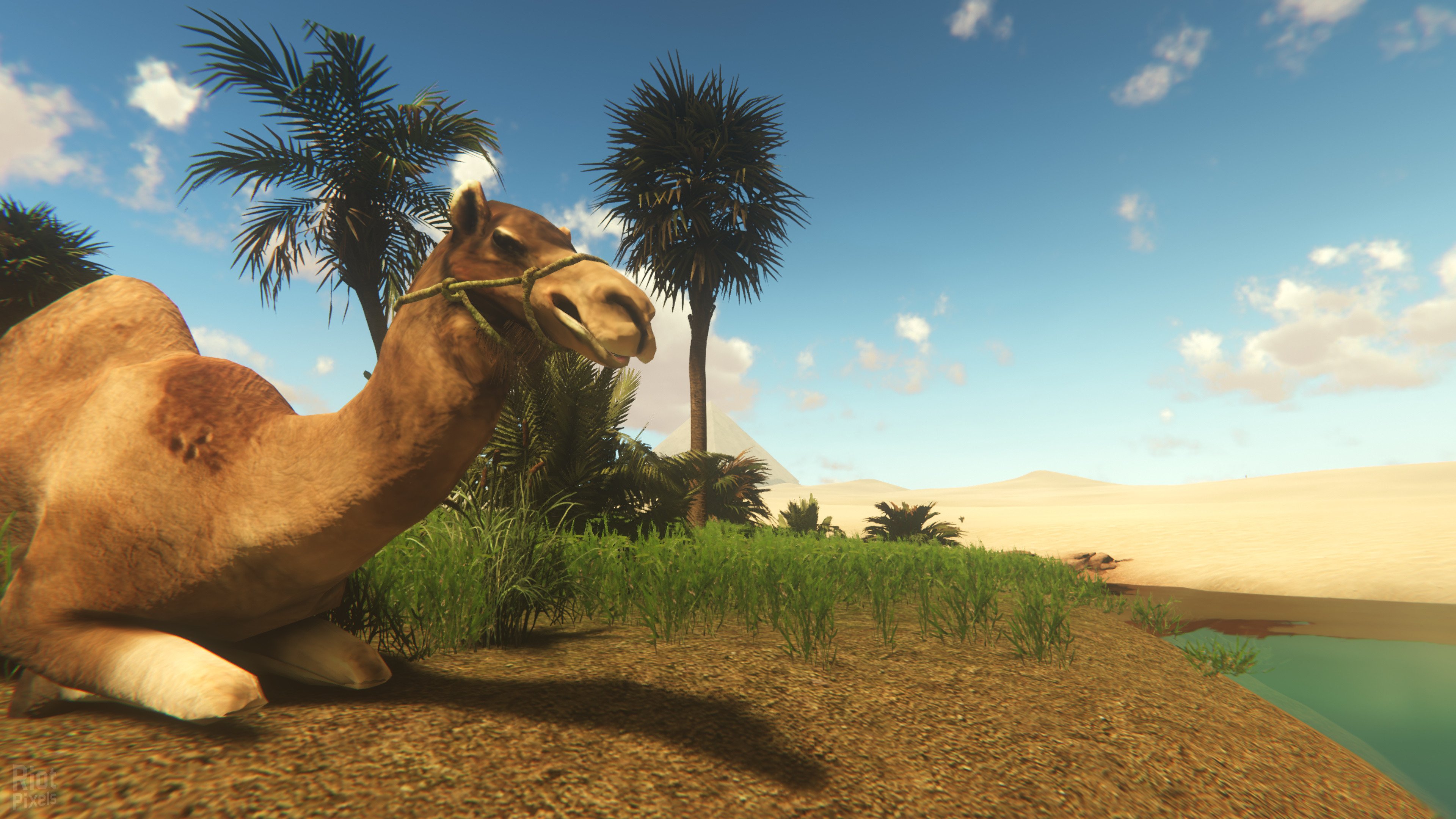 [12]-Starsand: Digital Supporter Edition – v1.0.9 + Bonus Content Download