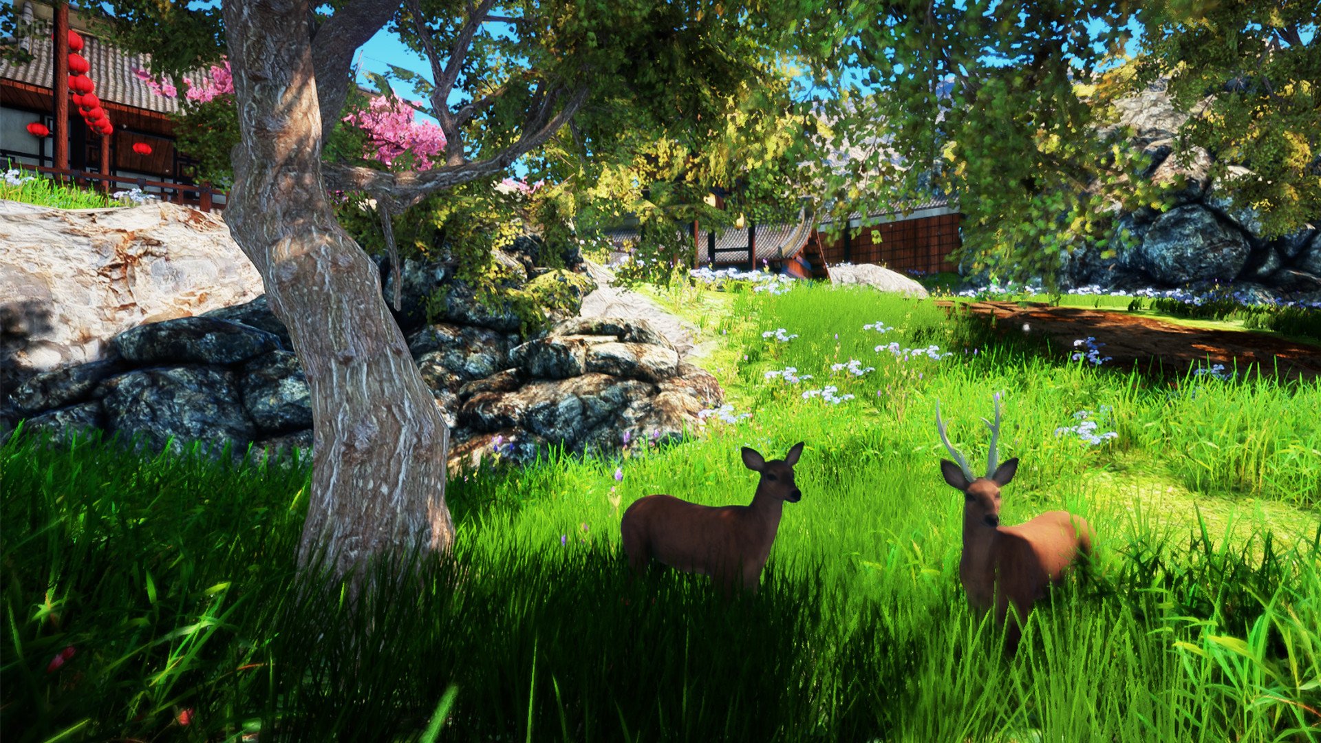 [15]-Animallica Download