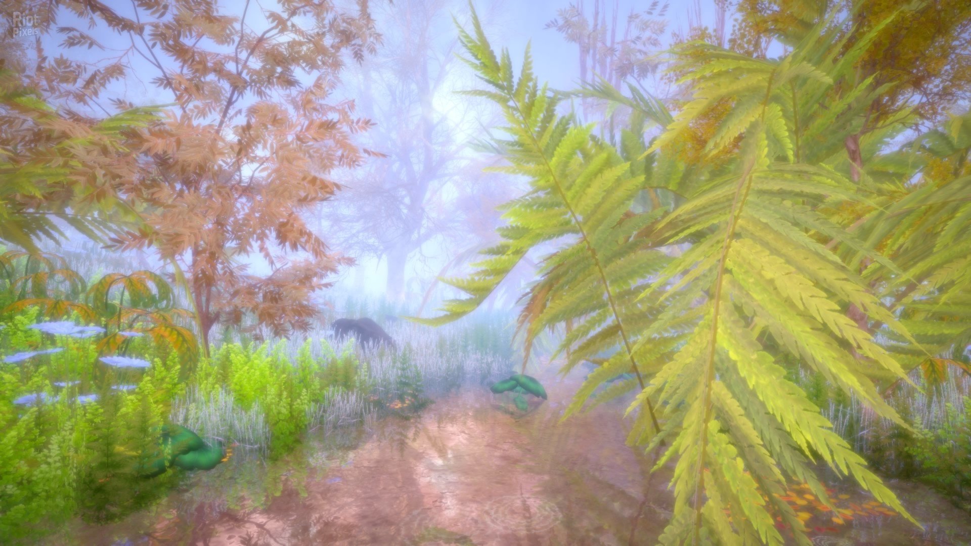 [8]-Hidden Treasures in the Forest of Dreams Download