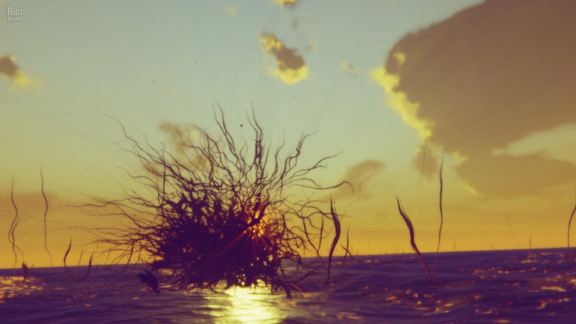 [13]-Lost At Sea Download