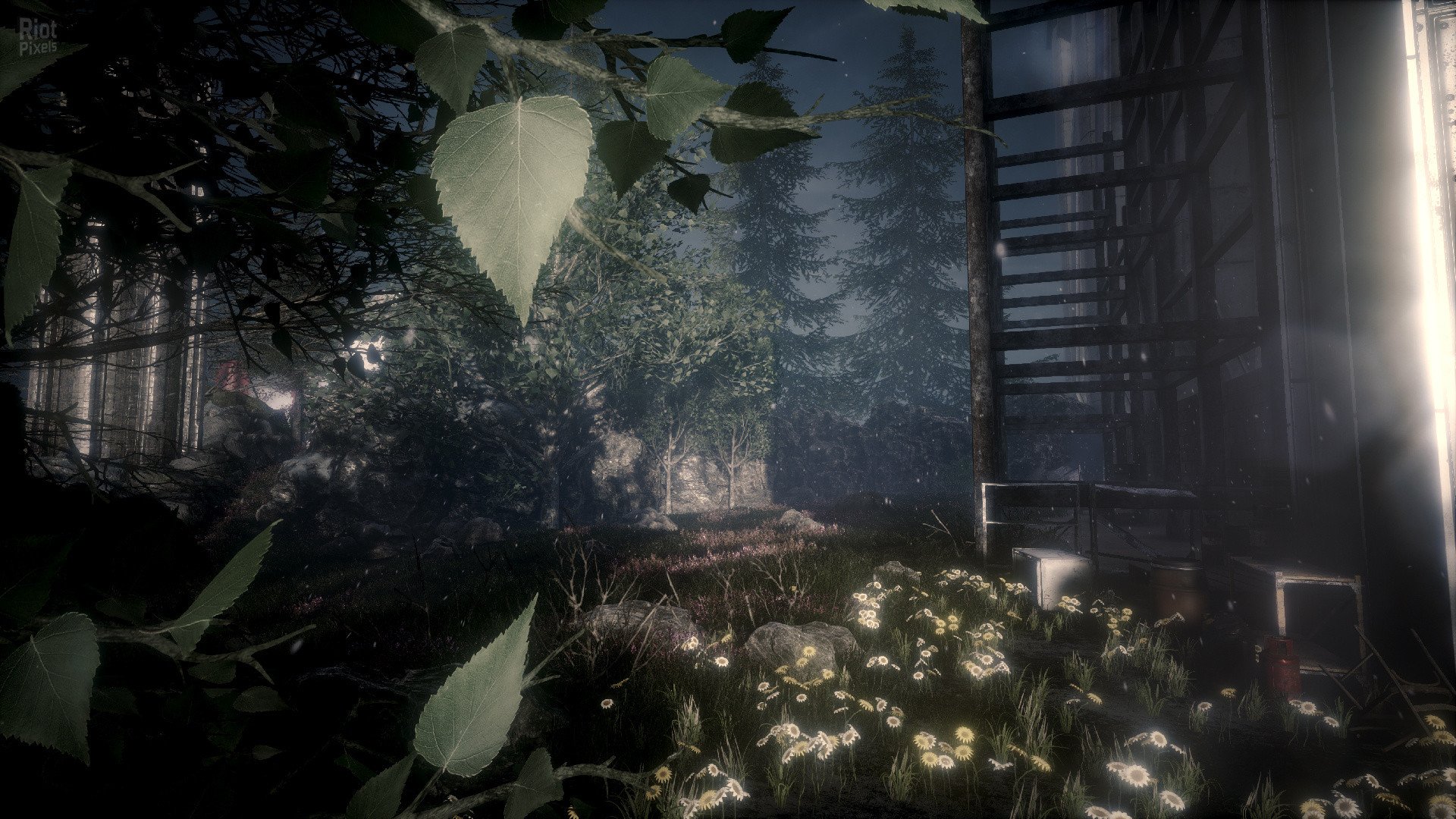 [16]-The Butterfly Sign – v1.1.2/Update 5 Download