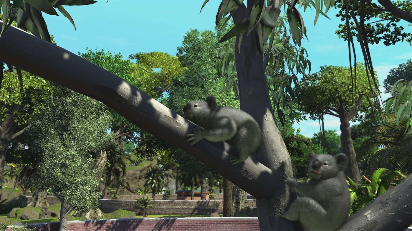 [5]-Zoo Tycoon: Ultimate Animal Collection Download