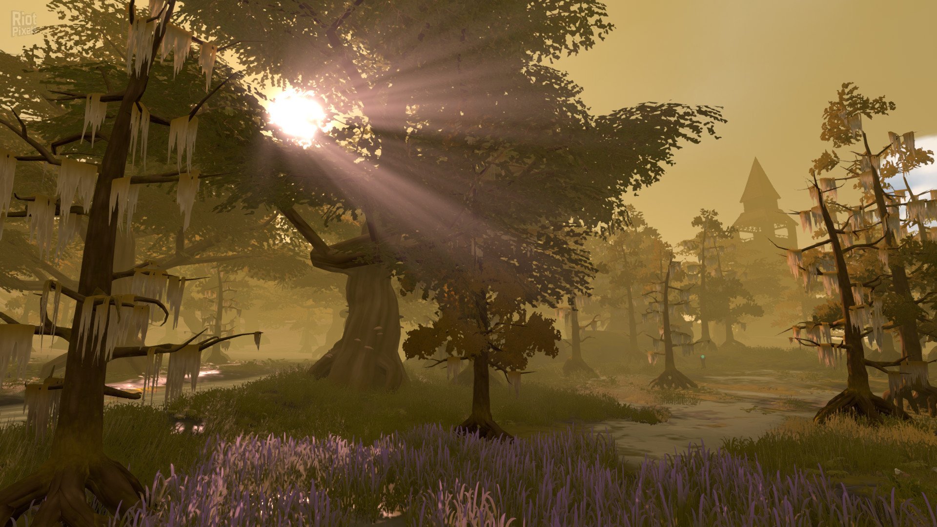 [14]-Pine Download
