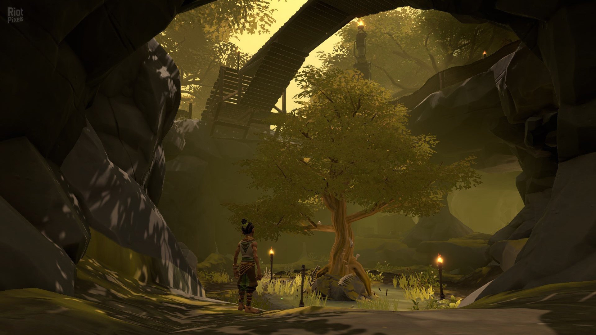 [16]-Pine Download