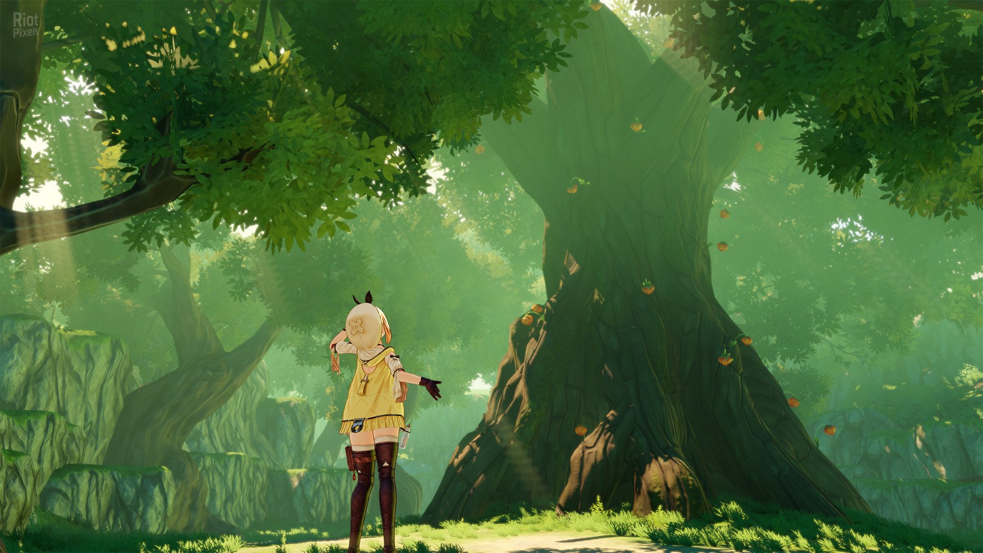 [12]-Atelier Ryza: Ever Darkness & The Secret Hideout – Digital Deluxe Edition + 8 DLCs Download