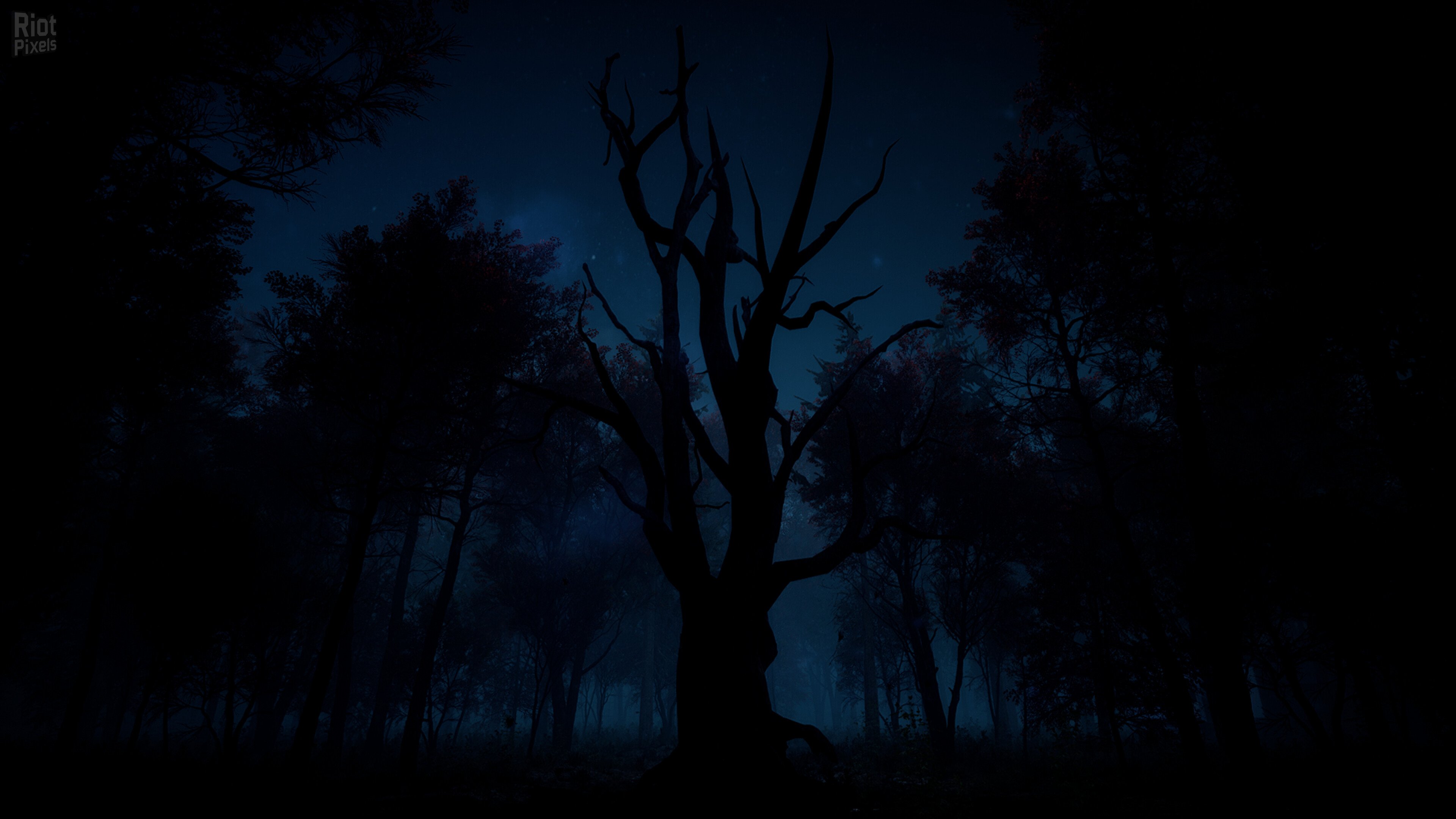 [4]-Slender: The Arrival – v3.0.46.992 (10th Anniversary Update) + Bonus OST + Old Game Builds Download